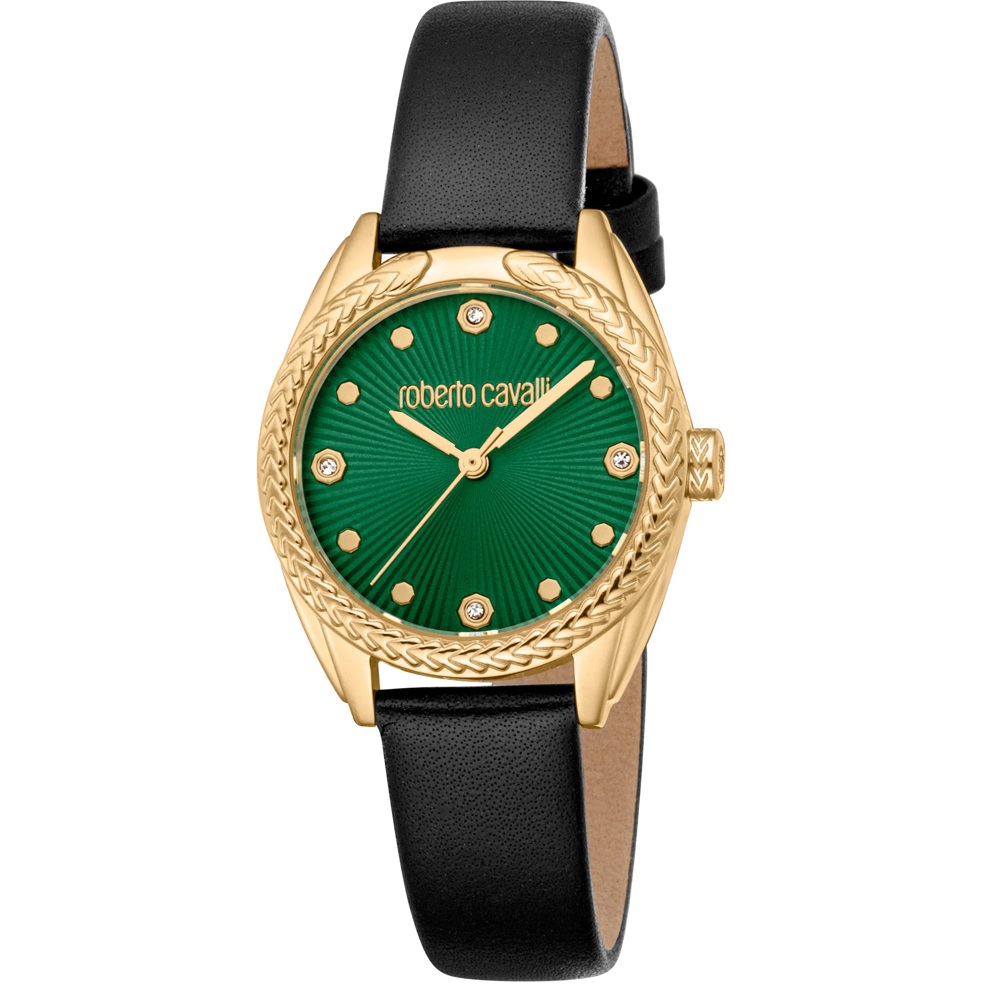 Watch Roberto Cavalli rc5l118l0025