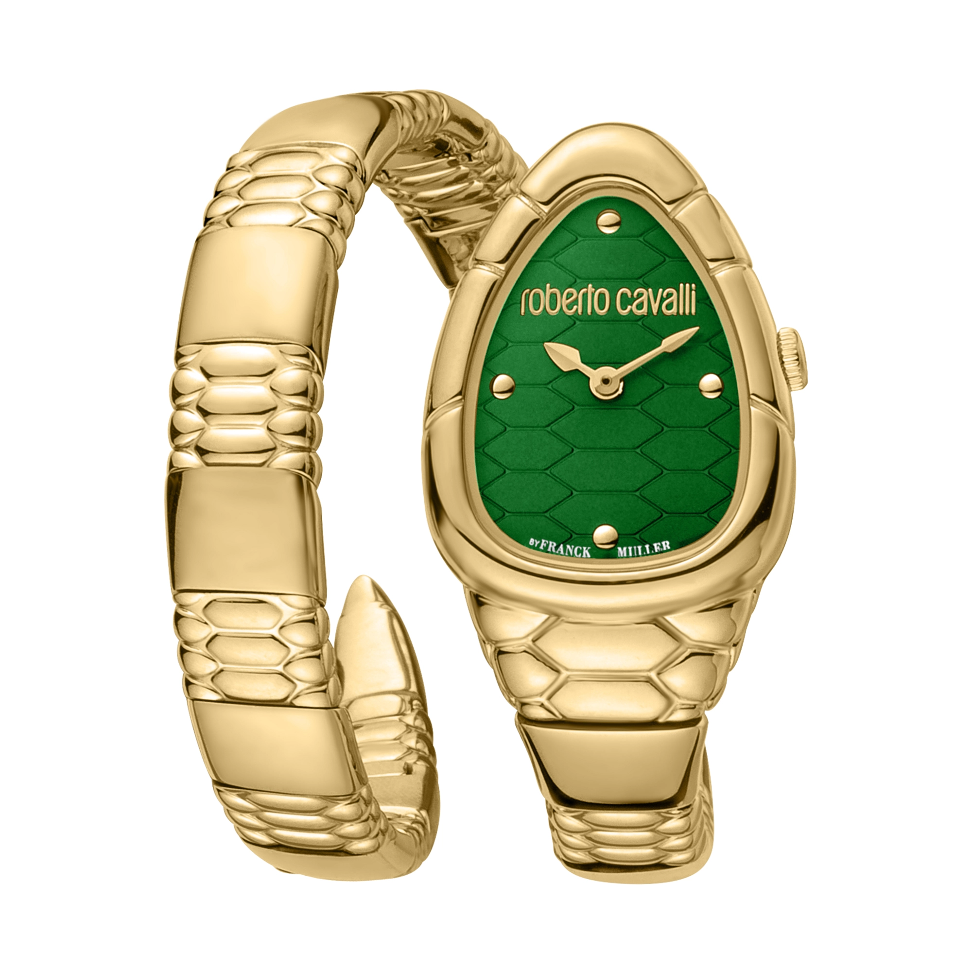 Watch Roberto Cavalli by Franck Muller rv1l184m0041