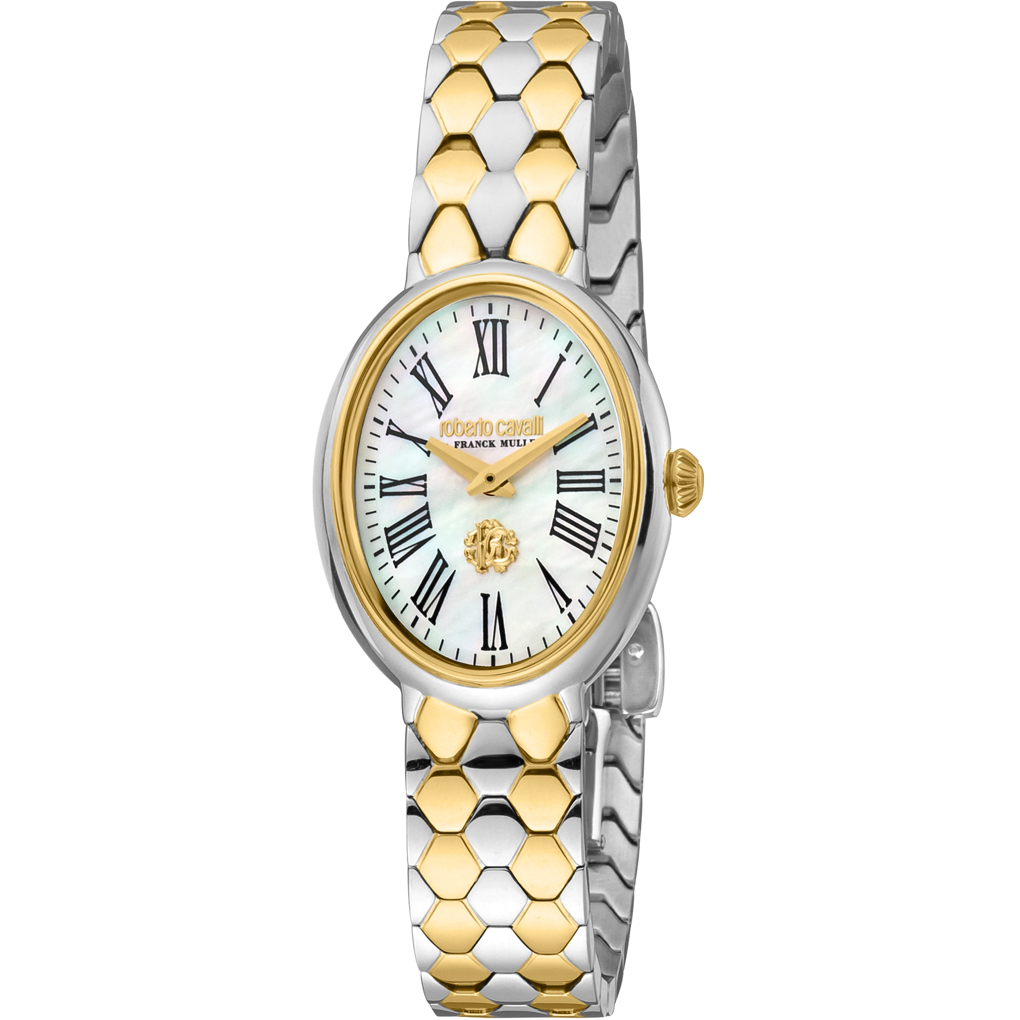 Watch Roberto Cavalli by Franck Muller rv1l196m0071
