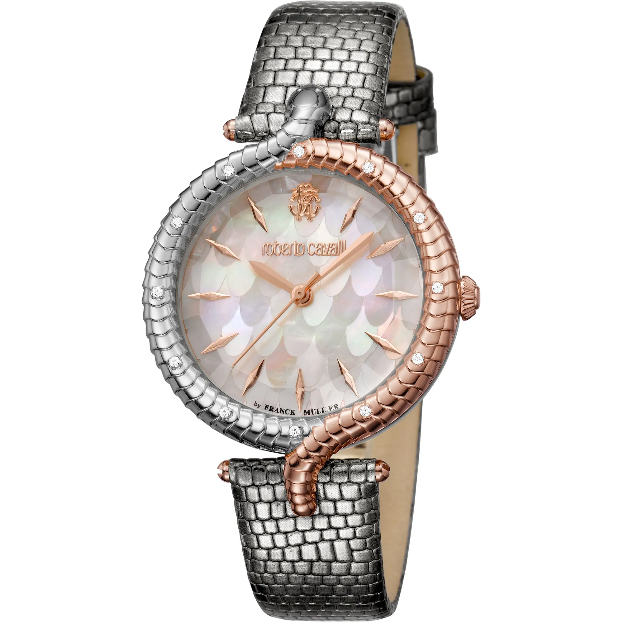 Watch Roberto Cavalli by Franck Muller rv2l012l0051