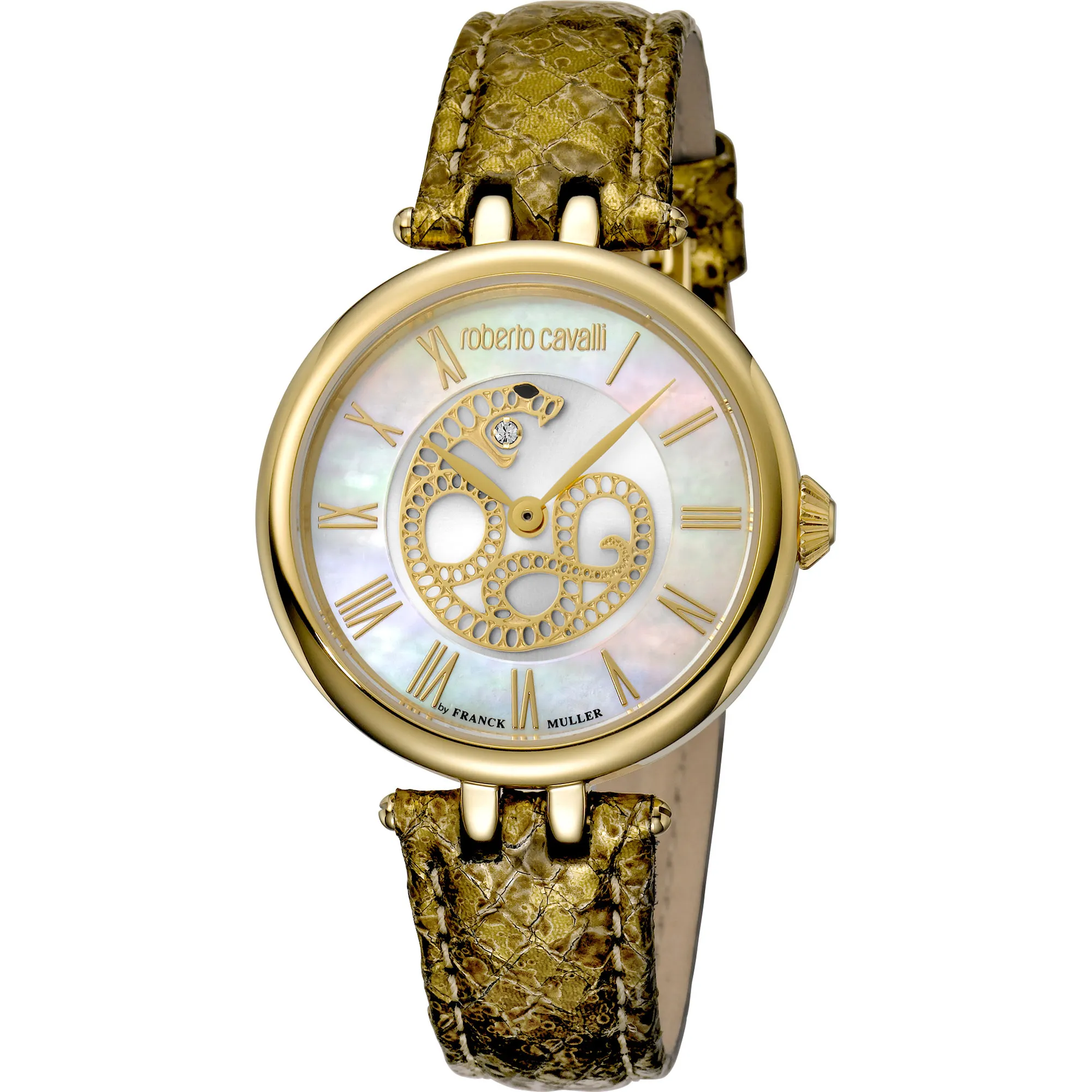 Watch Roberto Cavalli by Franck Muller rv2l015l0021
