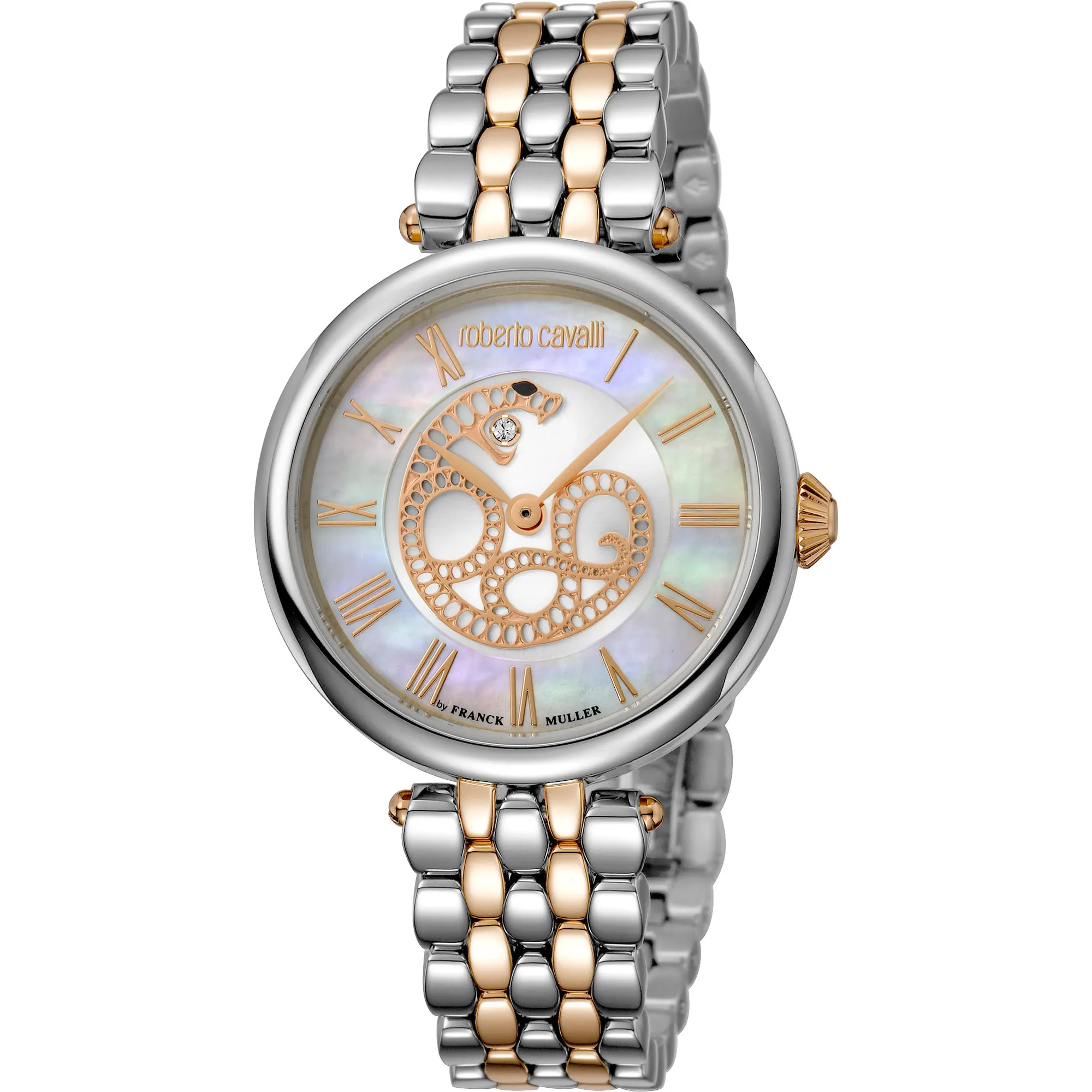 Watch Roberto Cavalli by Franck Muller rv2l015m0091