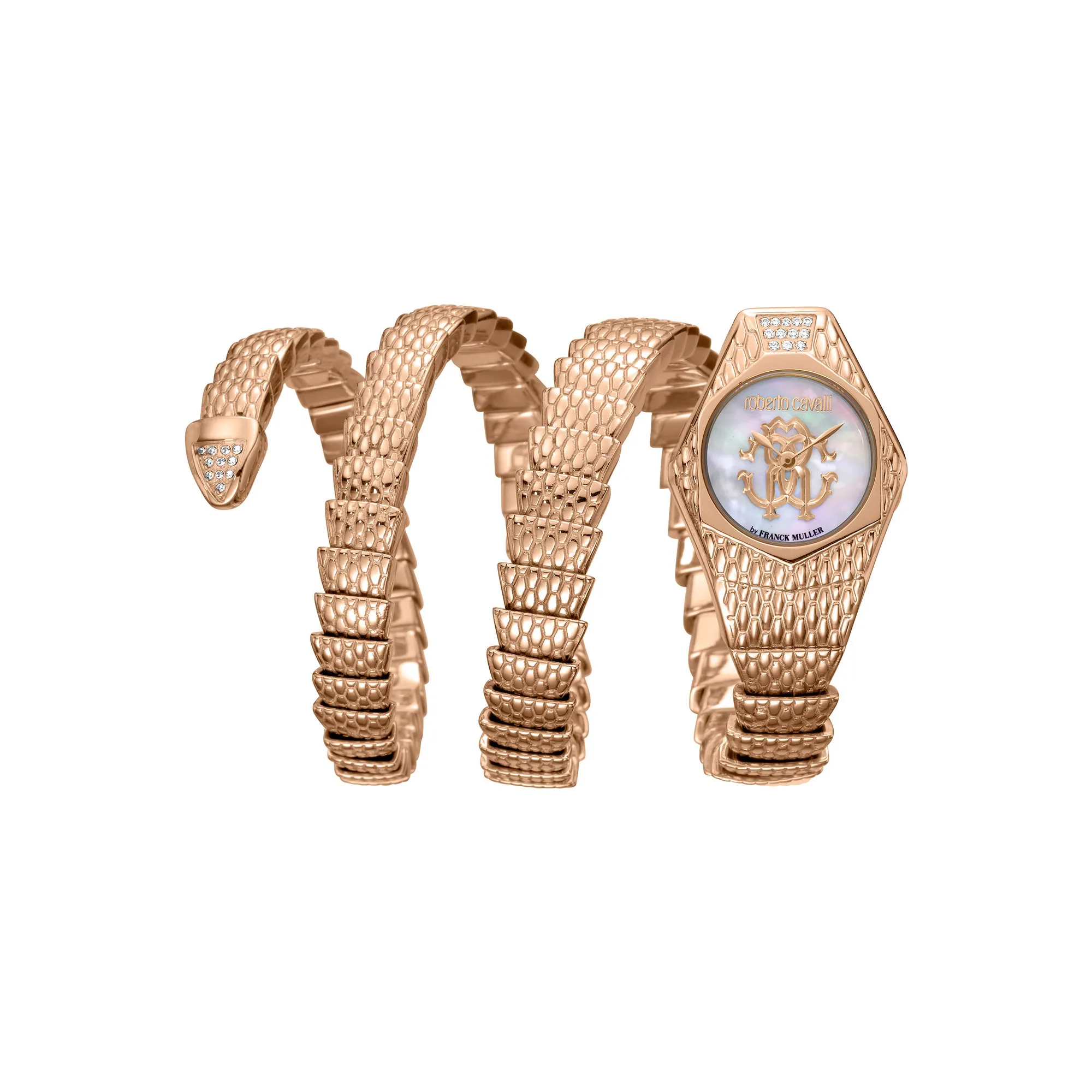 Watch Roberto Cavalli by Franck Muller rv2l021m0041