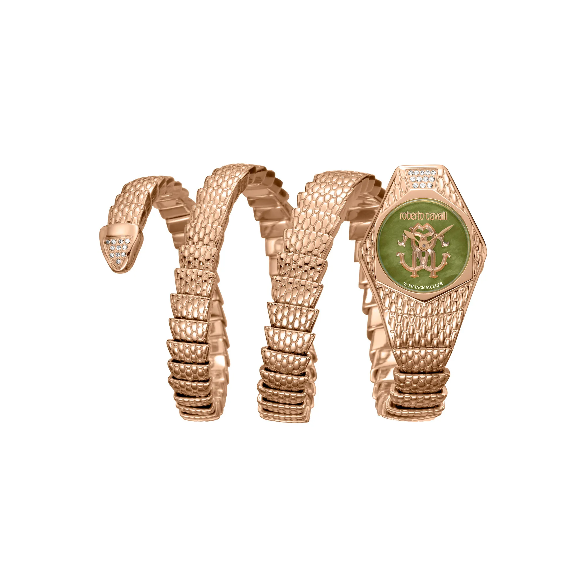 Watch Roberto Cavalli by Franck Muller rv2l021m0051