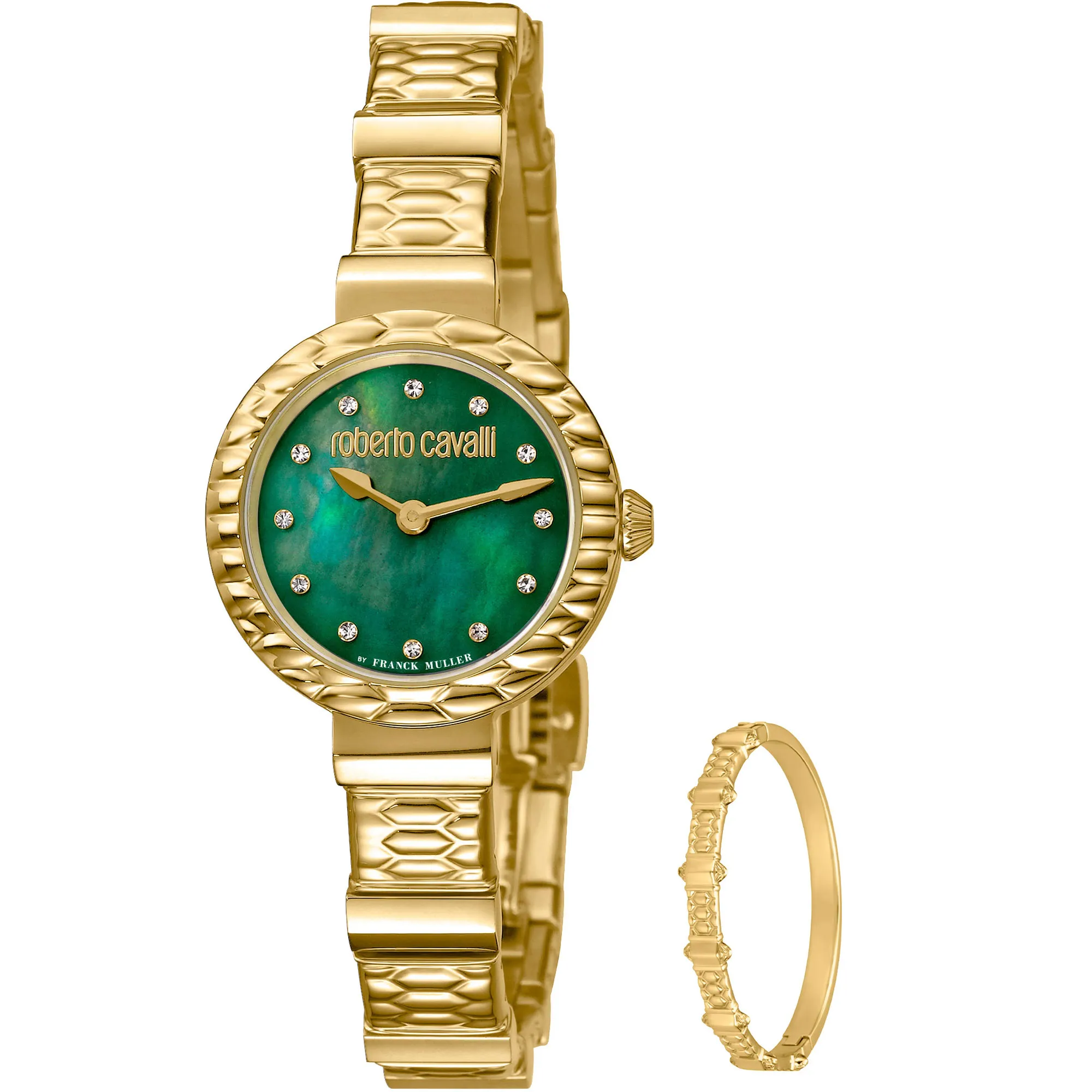Watch Roberto Cavalli by Franck Muller rv2l023m0081