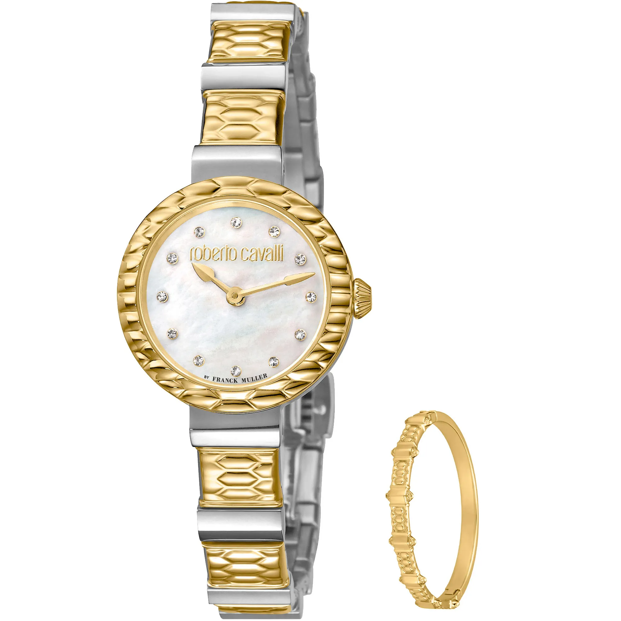 Watch Roberto Cavalli by Franck Muller rv2l023m0106