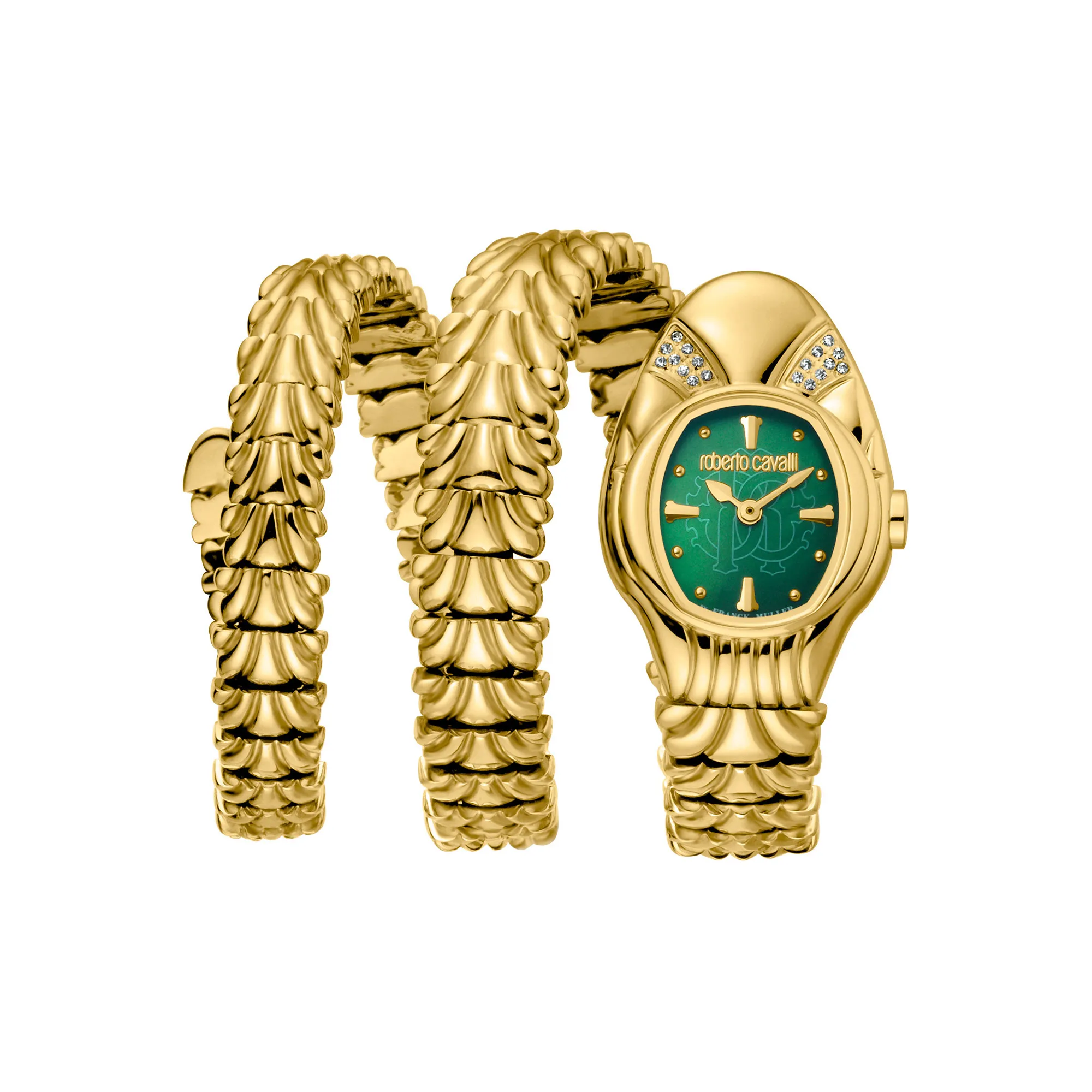 Watch Roberto Cavalli by Franck Muller rv2l042m0021