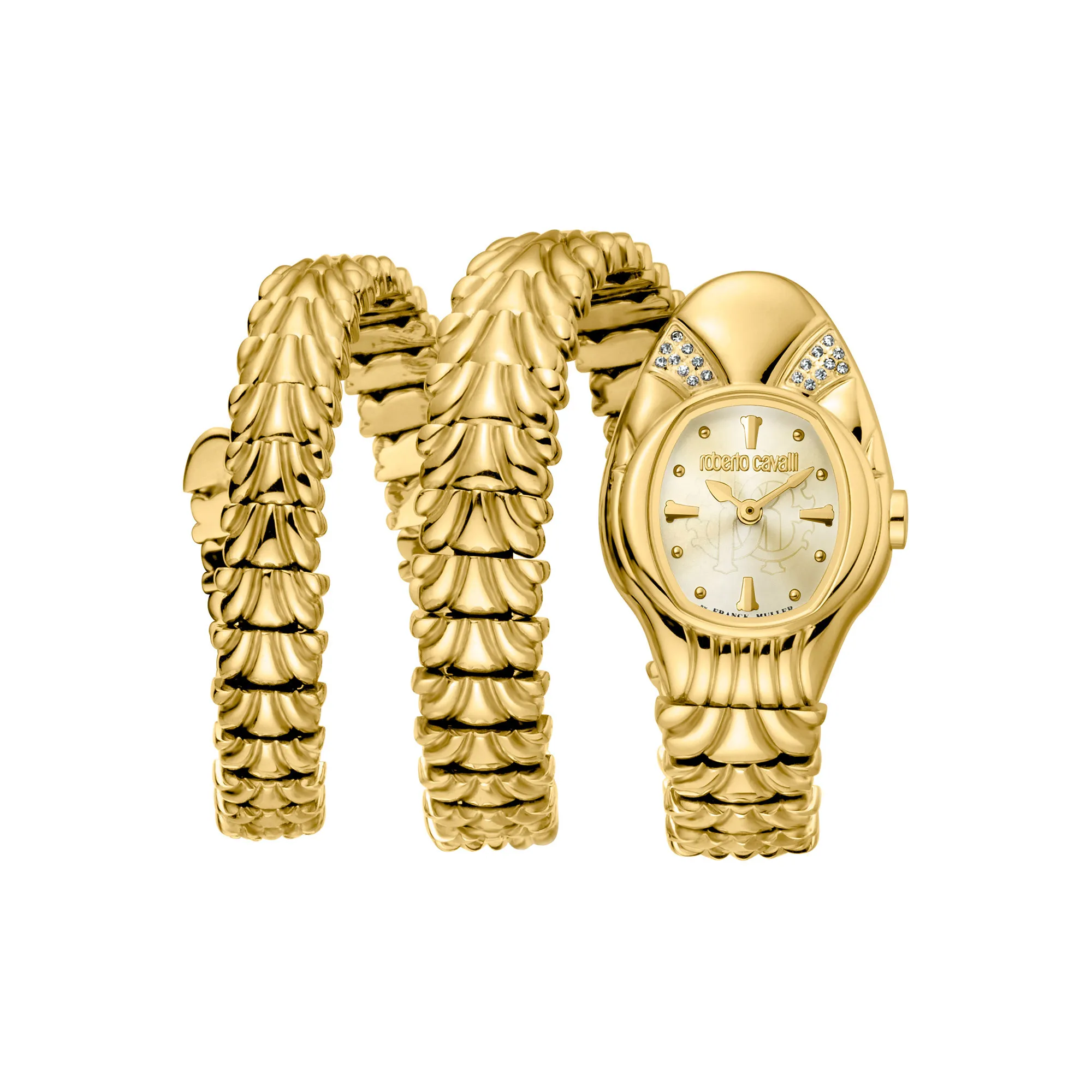 Watch Roberto Cavalli by Franck Muller rv2l042m0031