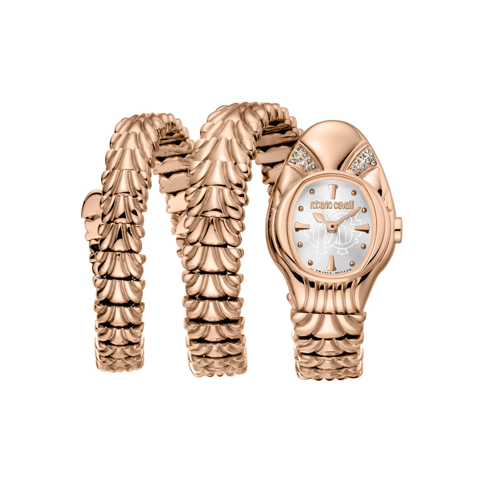 Watch Roberto Cavalli by Franck Muller rv2l042m0041