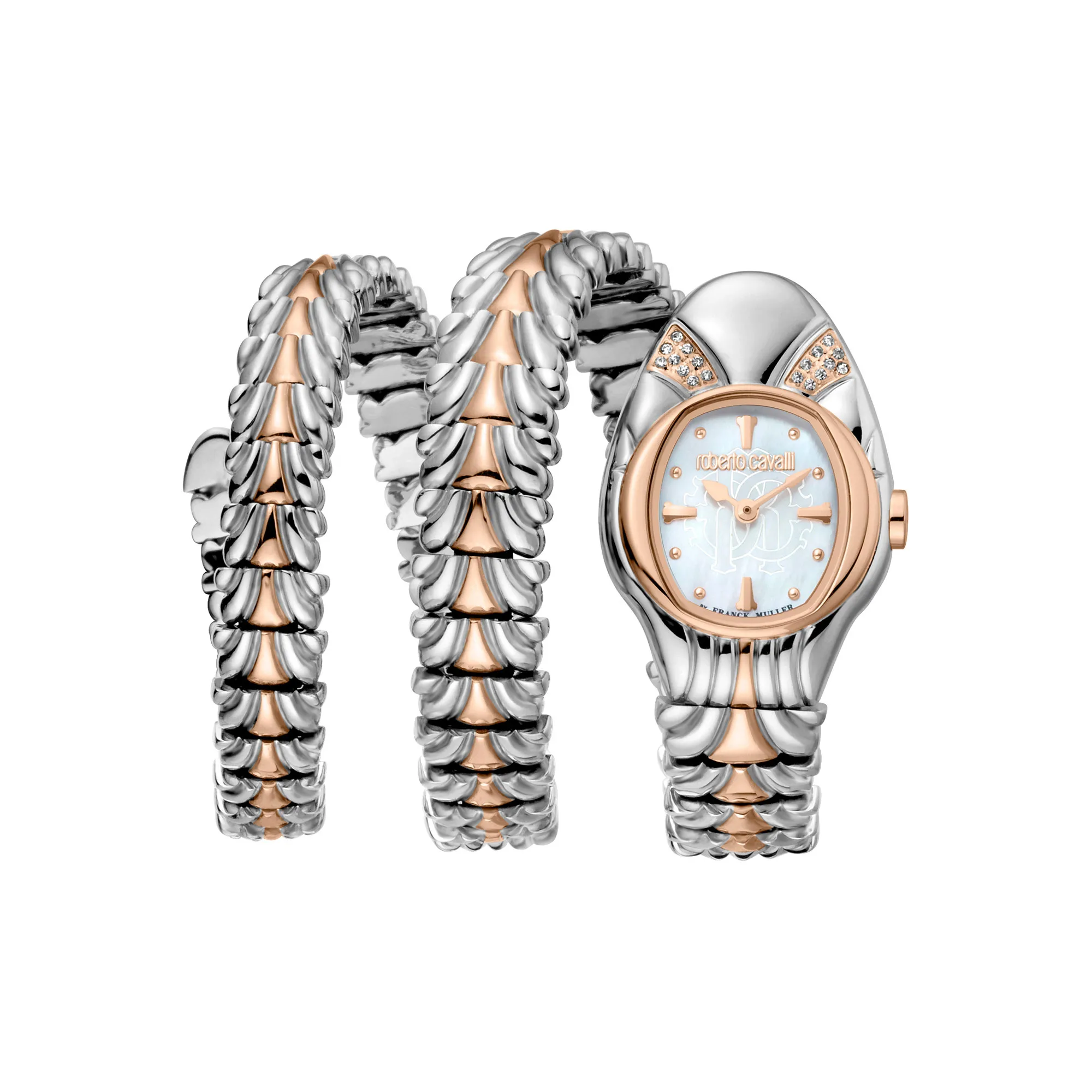 Watch Roberto Cavalli by Franck Muller rv2l042m0061