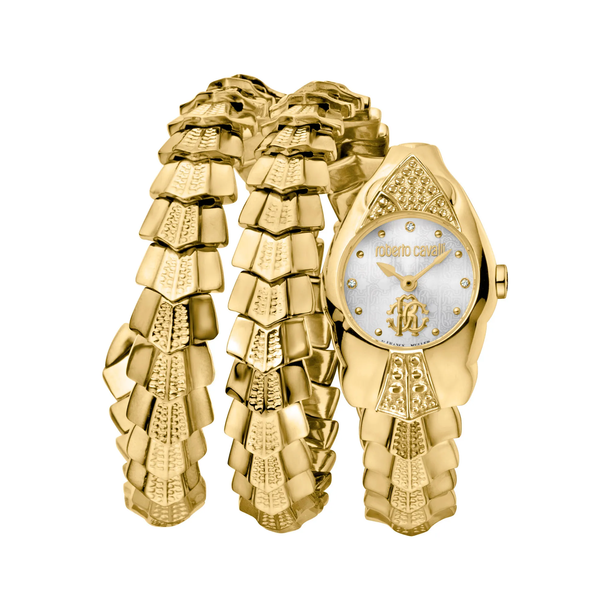 Watch Roberto Cavalli by Franck Muller rv2l048m0021