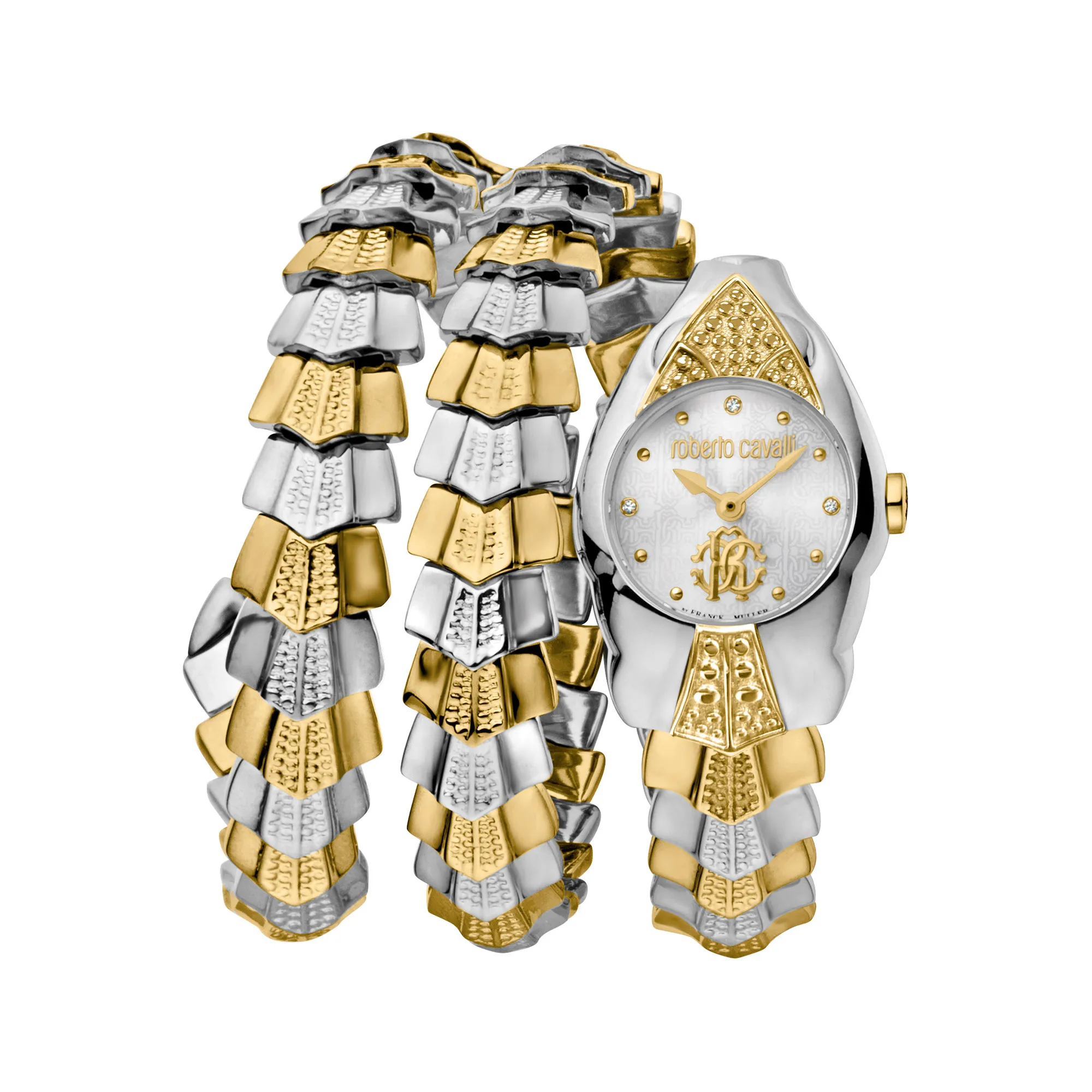 Watch Roberto Cavalli by Franck Muller rv2l048m0031
