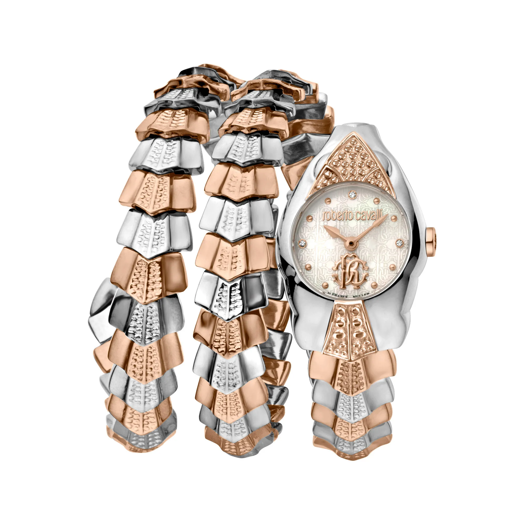 Watch Roberto Cavalli by Franck Muller rv2l048m0041