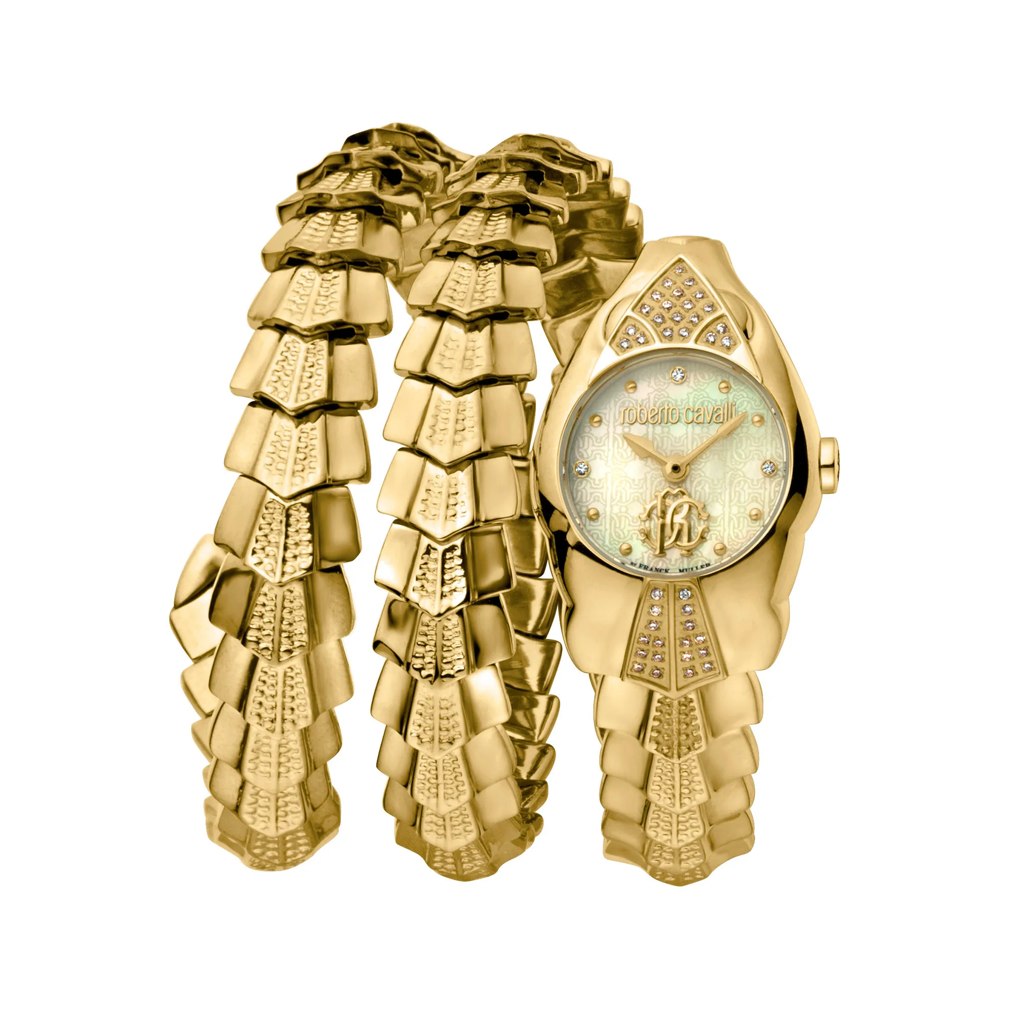 Watch Roberto Cavalli by Franck Muller rv2l061m0011