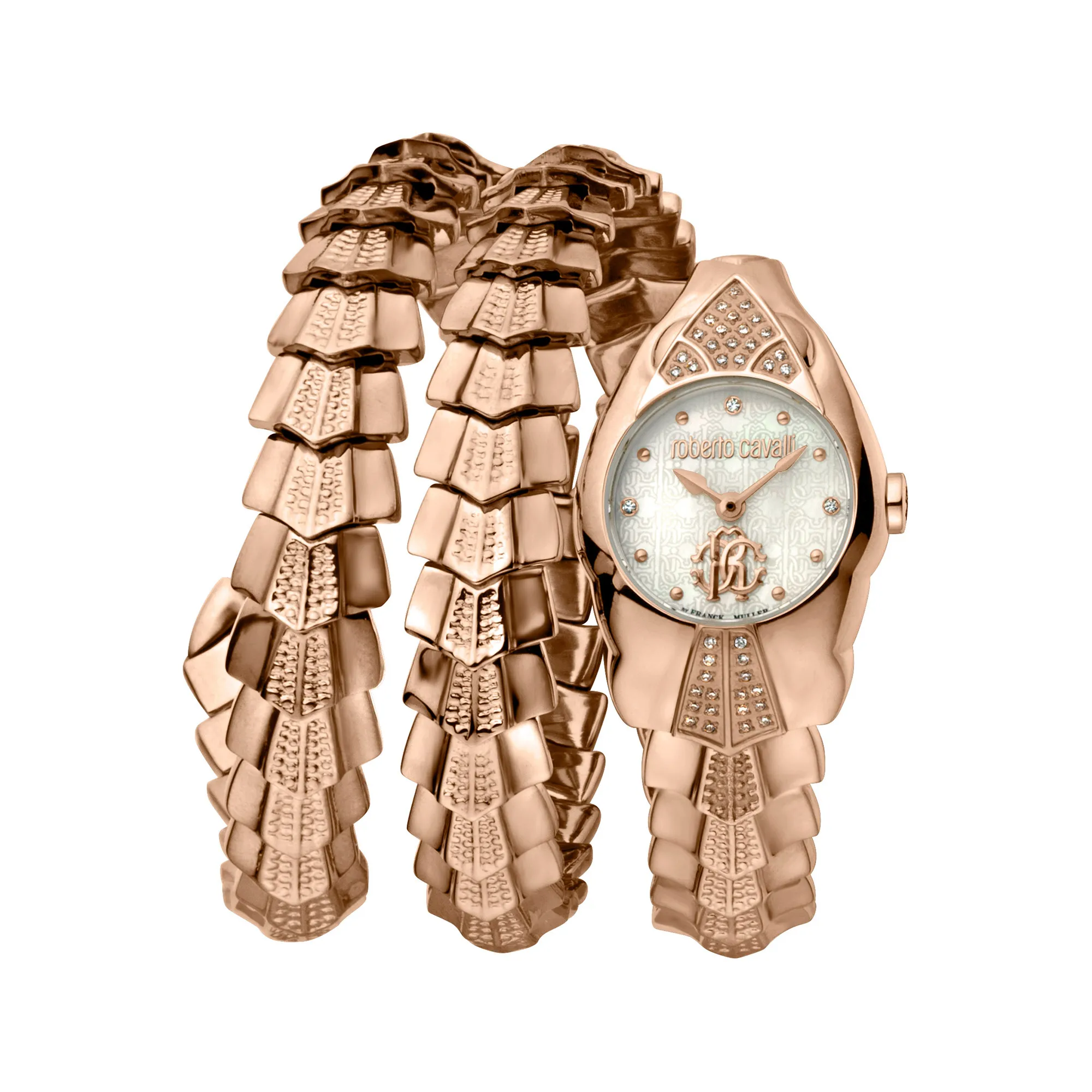 Watch Roberto Cavalli by Franck Muller rv2l061m0021