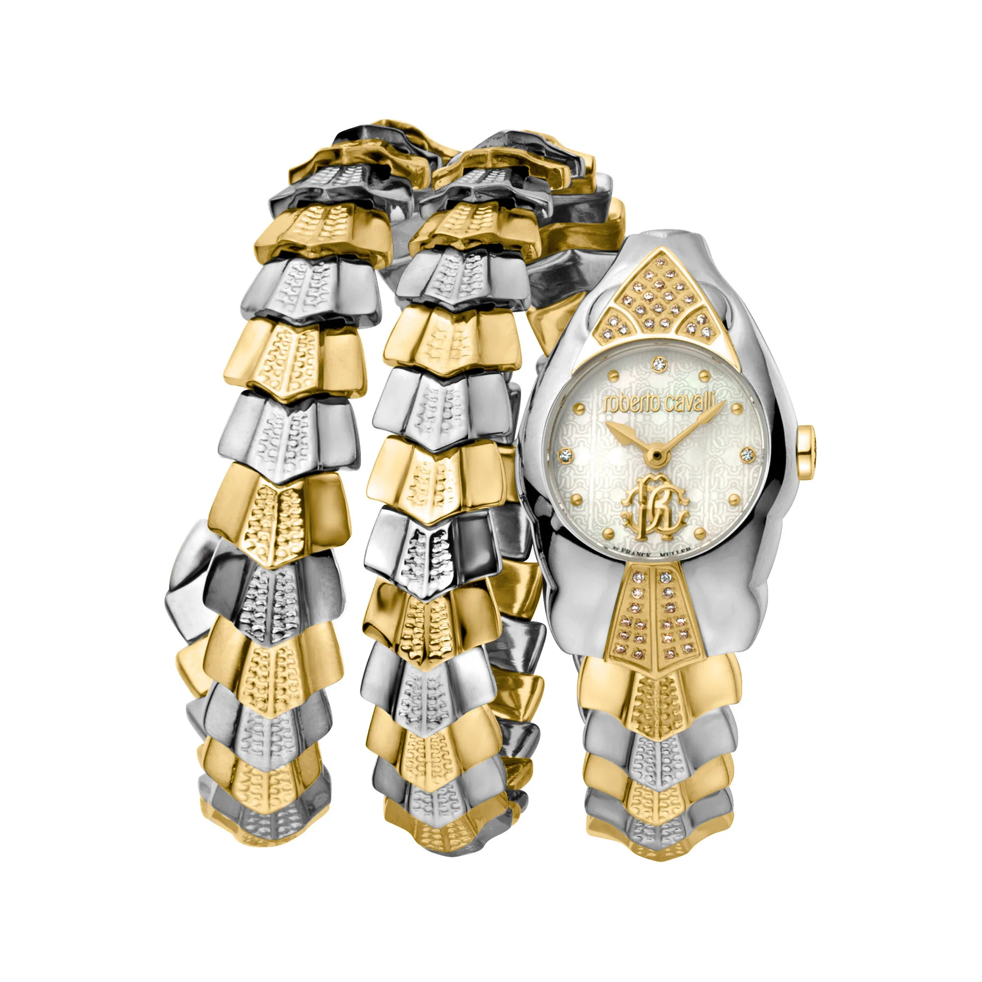 Watch Roberto Cavalli by Franck Muller rv2l061m0031