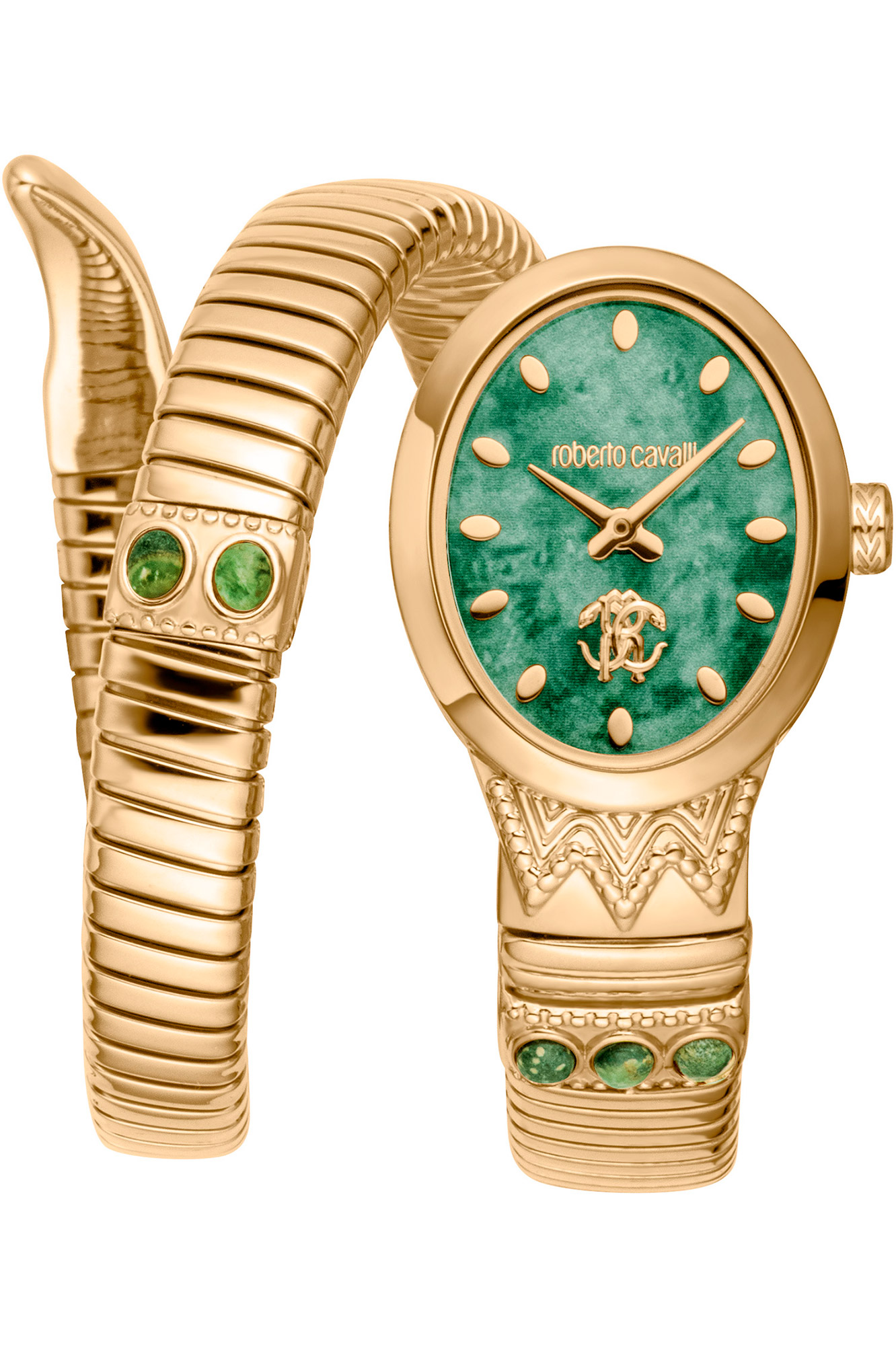 Watch Roberto Cavalli rc5l104m0025