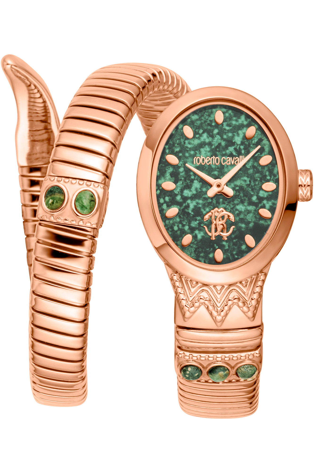 Watch Roberto Cavalli rc5l104m0045