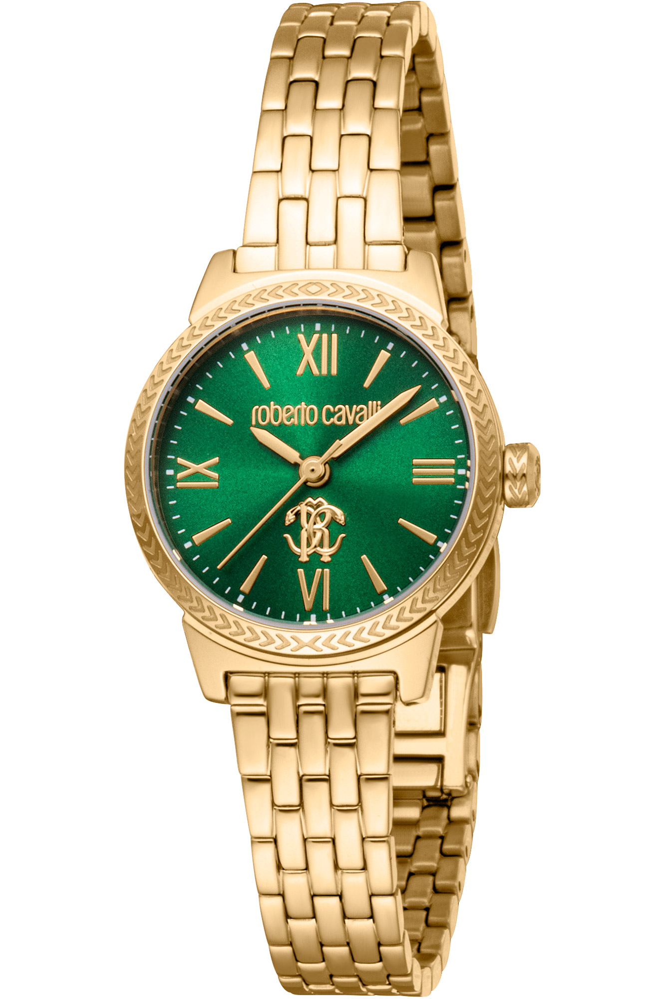 Watch Roberto Cavalli rc5l107m0055