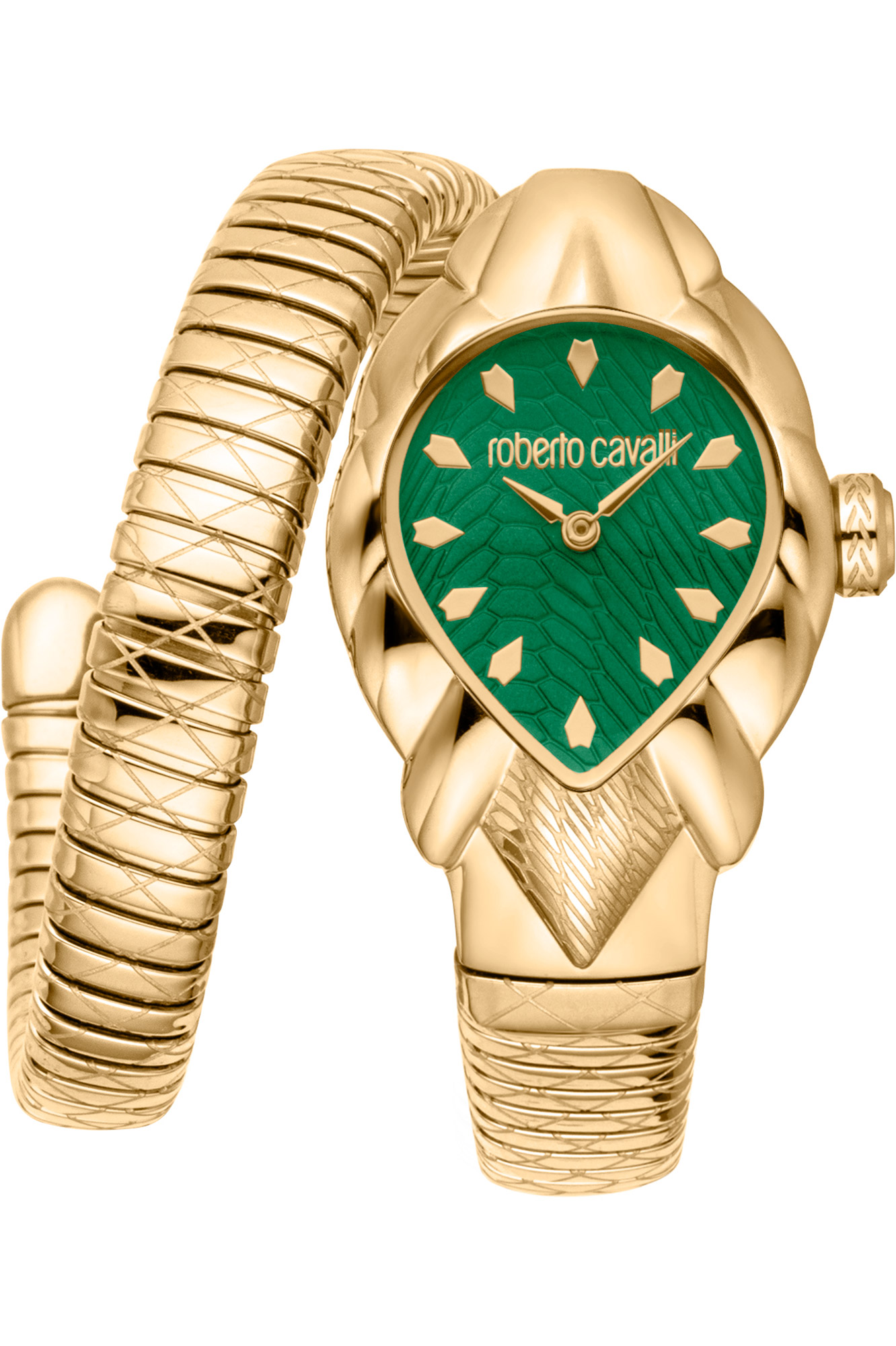 Watch Roberto Cavalli rc5l110m0045