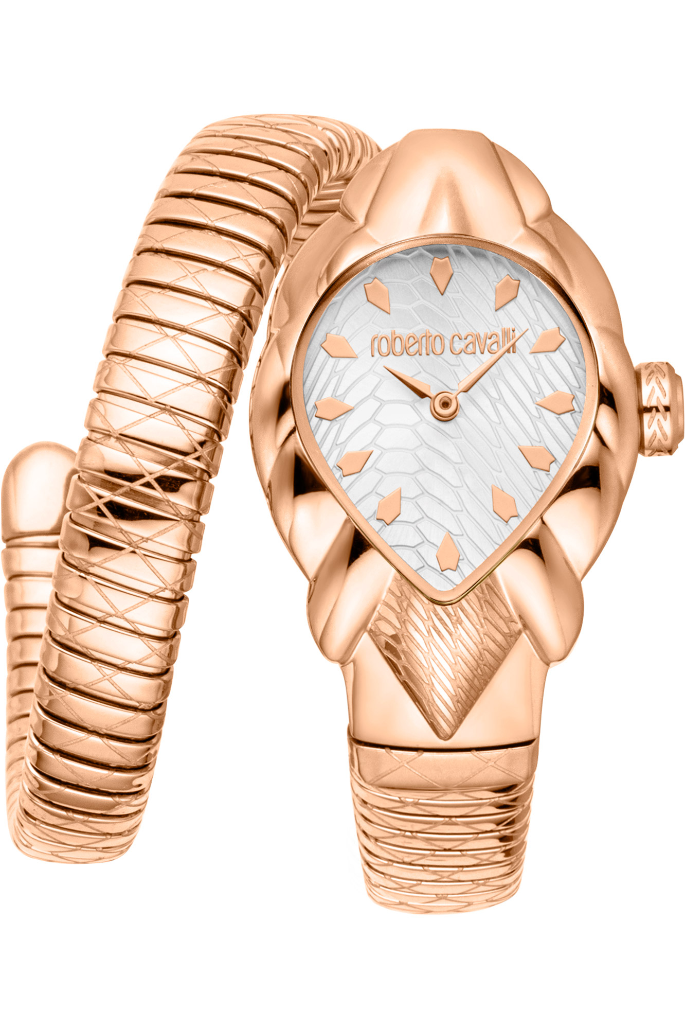 Watch Roberto Cavalli rc5l110m0055