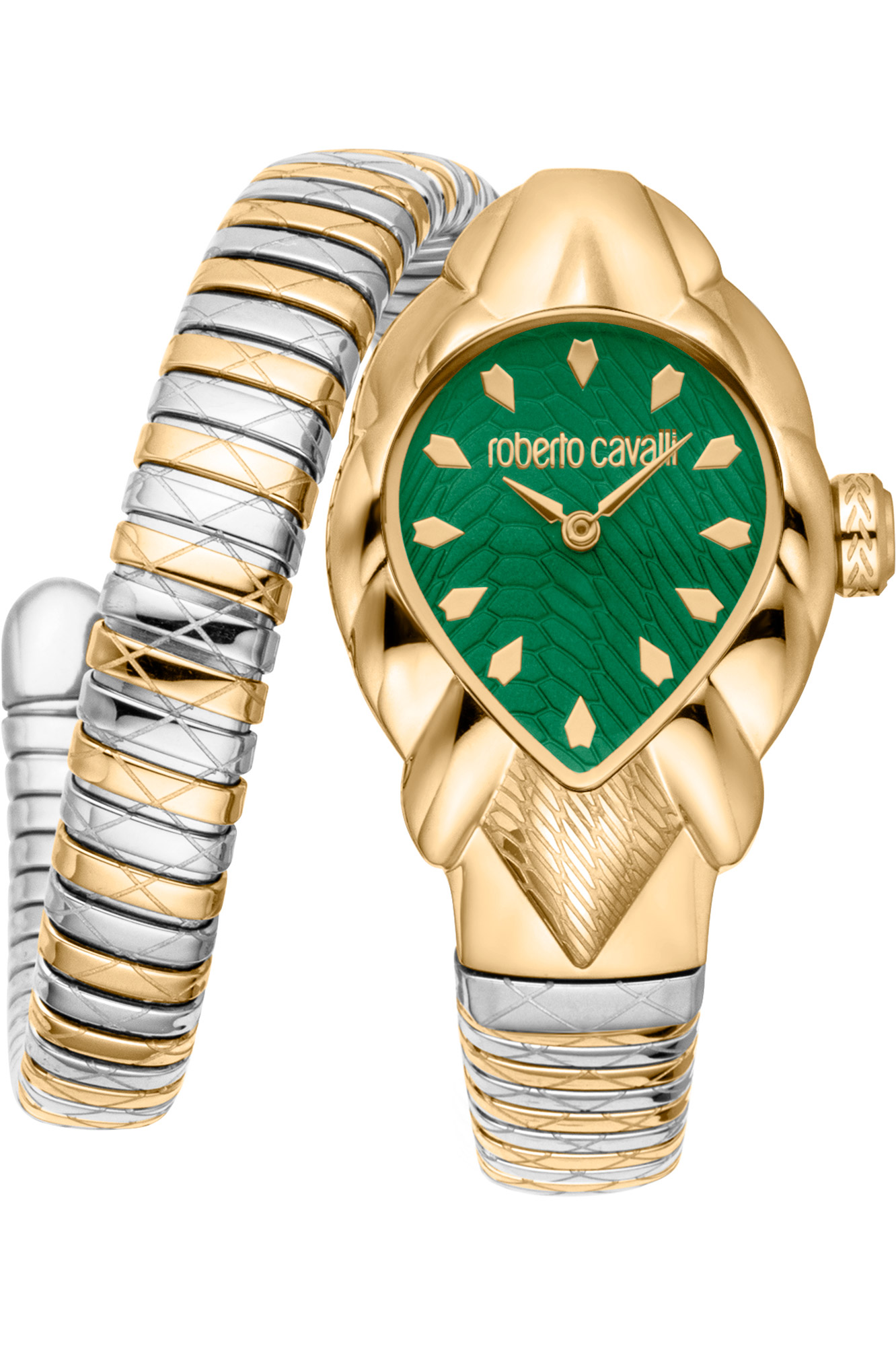 Watch Roberto Cavalli rc5l110m0075
