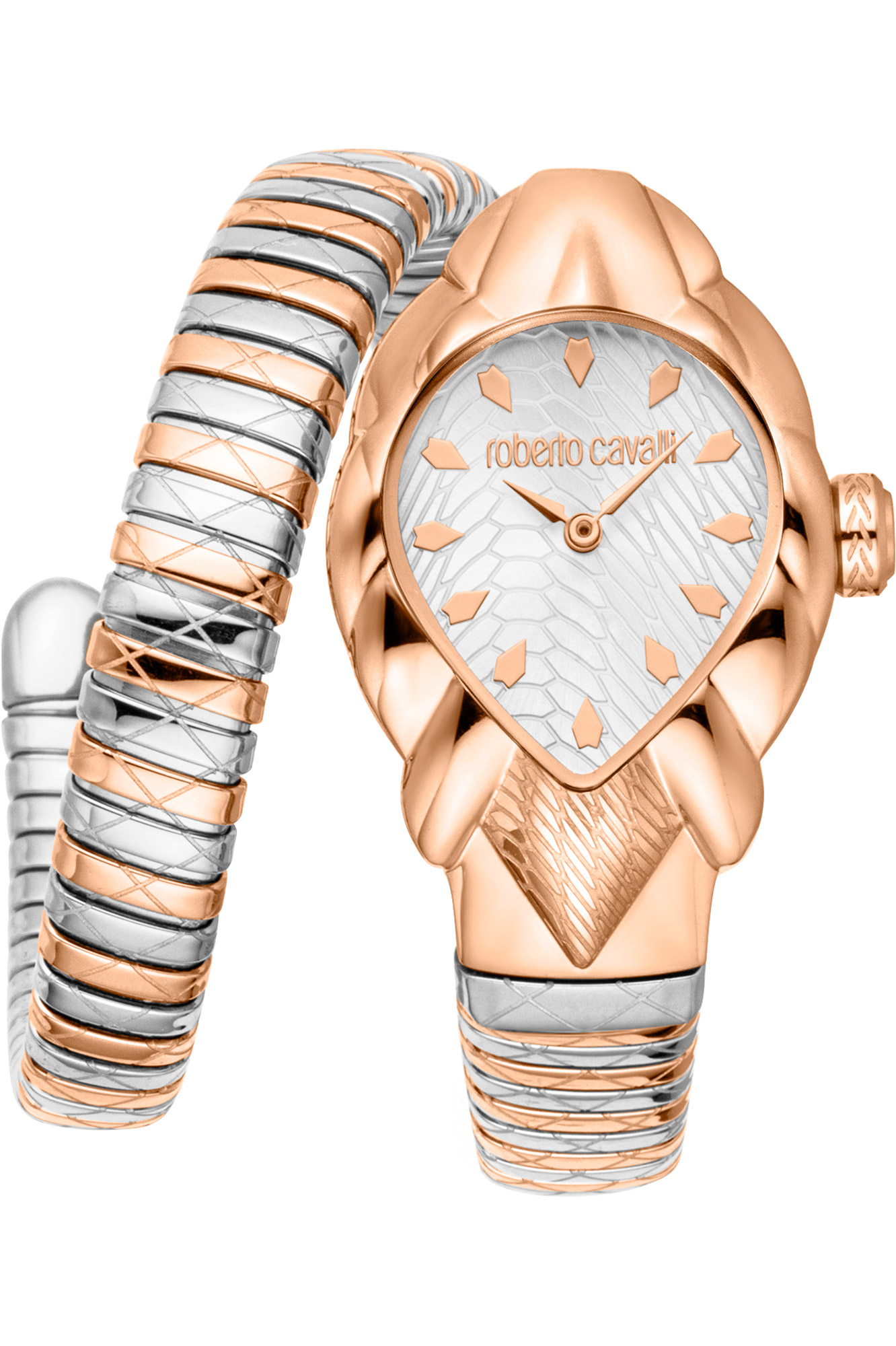 Watch Roberto Cavalli rc5l110m0085