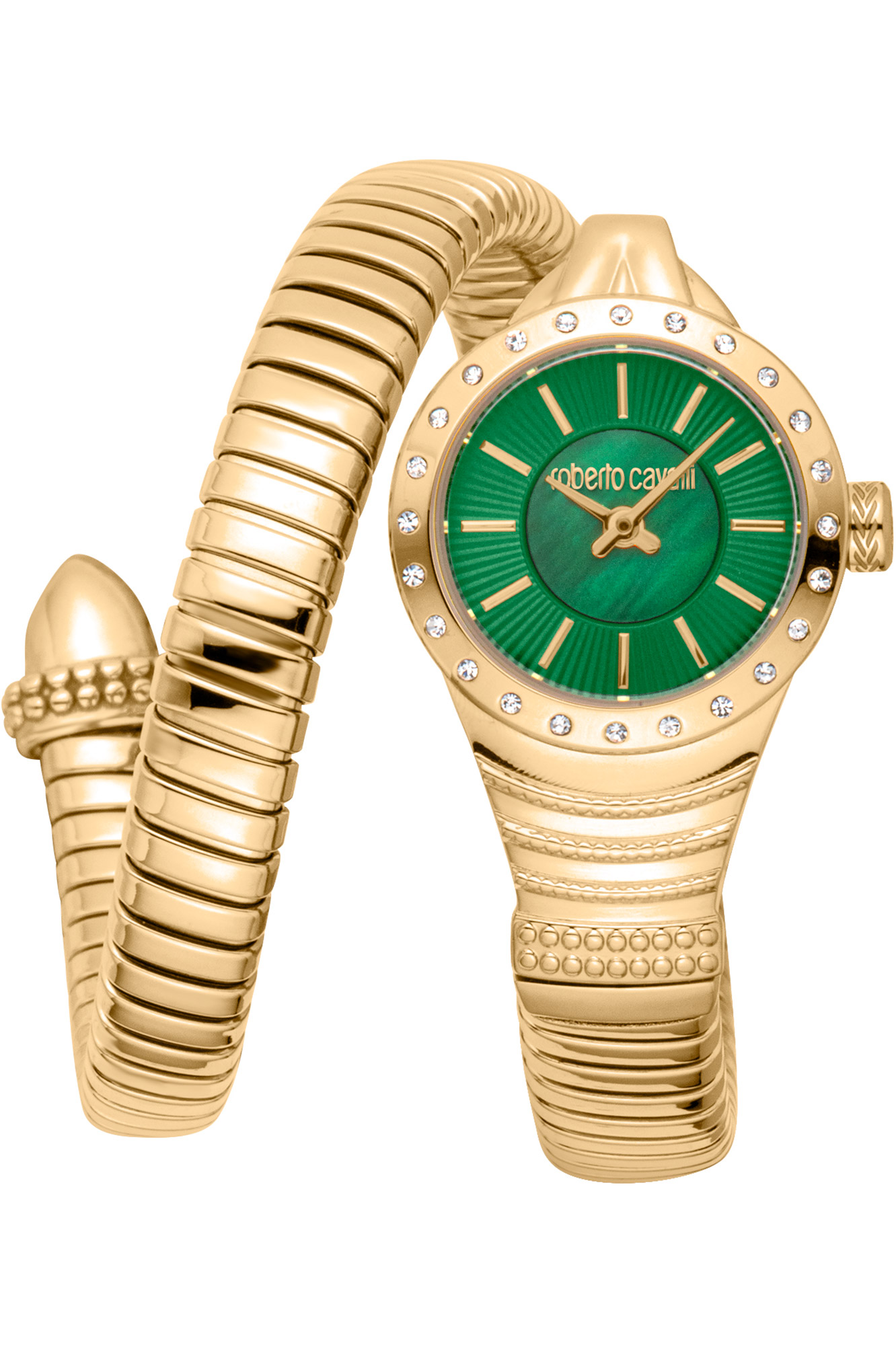 Watch Roberto Cavalli rc5l114m0035
