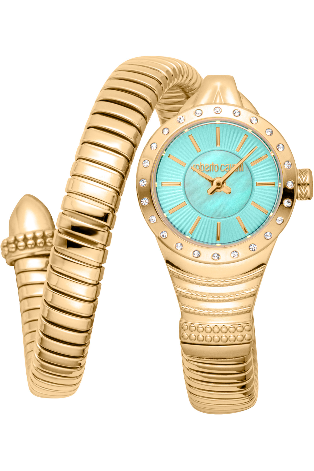 Watch Roberto Cavalli rc5l114m0045