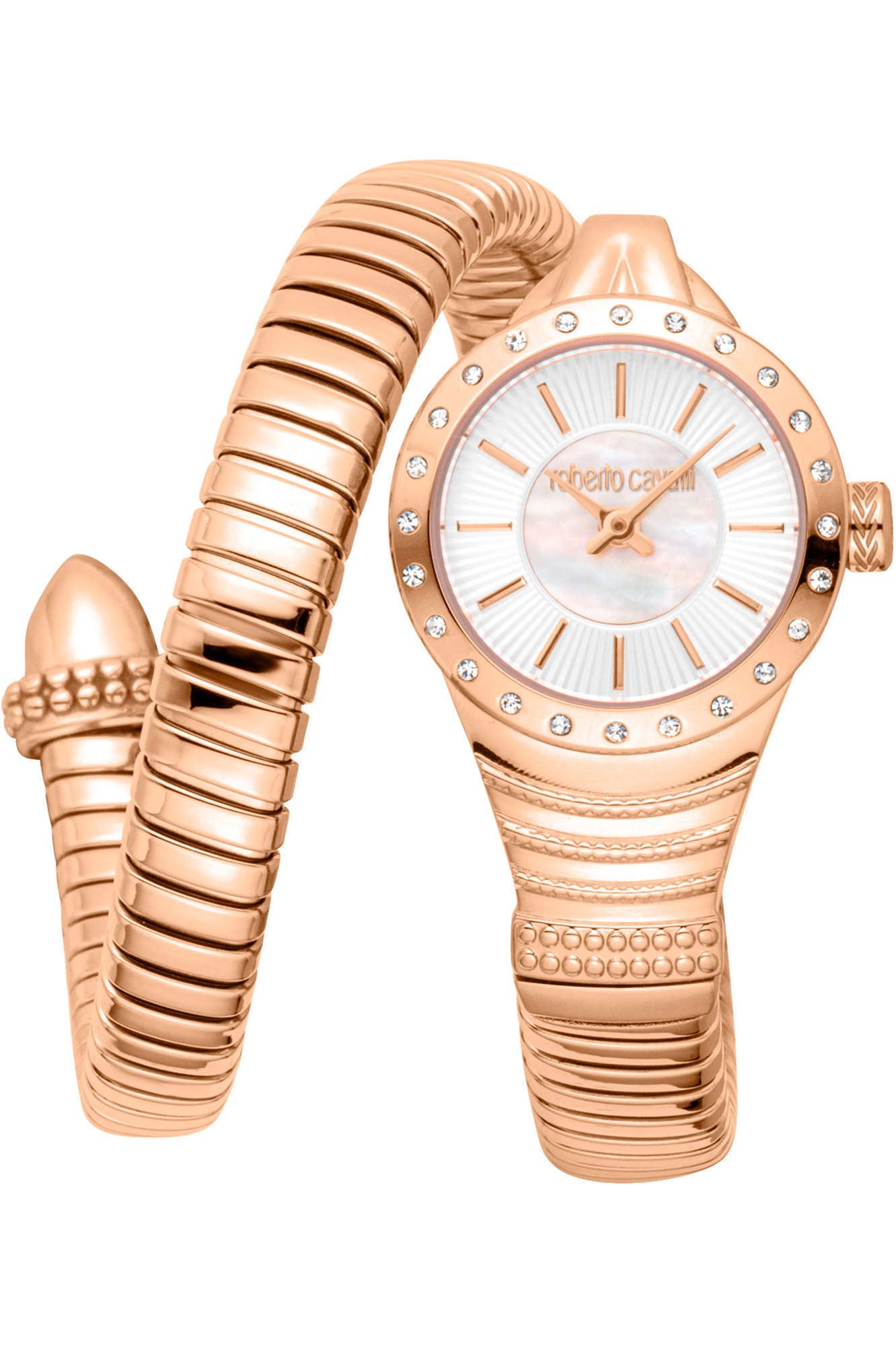 Watch Roberto Cavalli rc5l114m0055