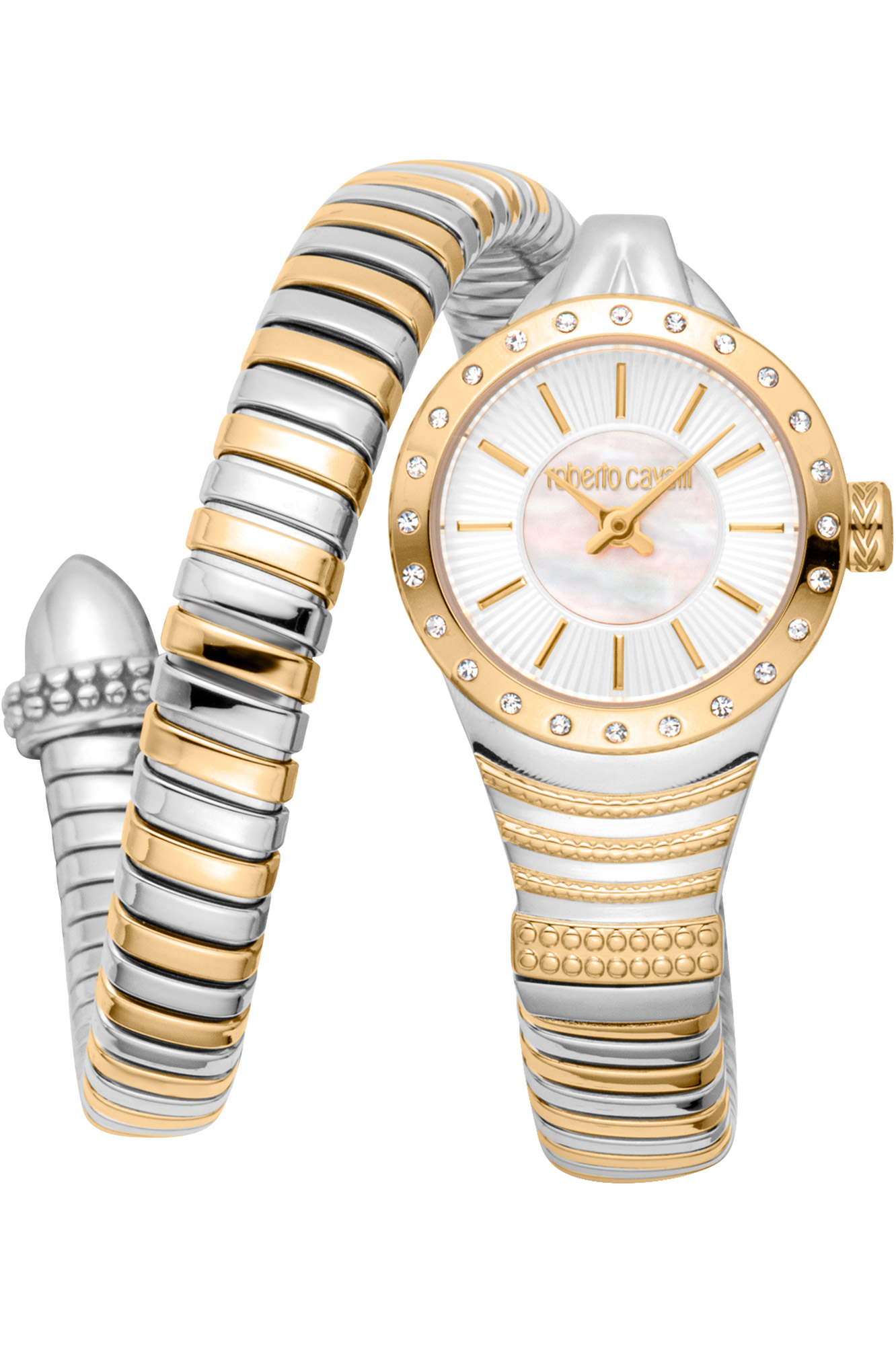 Watch Roberto Cavalli rc5l114m0065