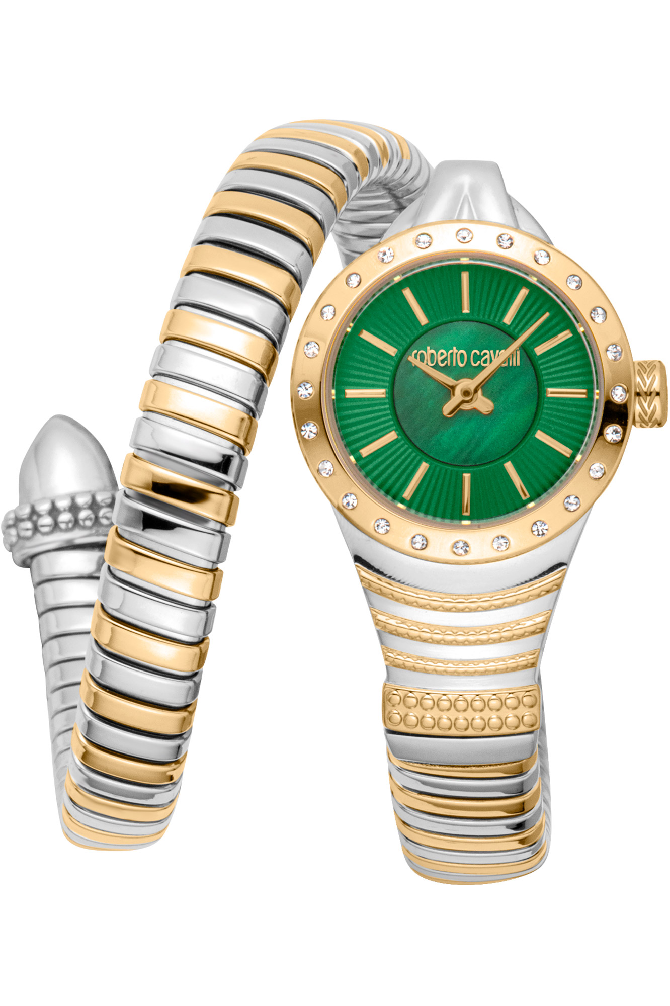 Watch Roberto Cavalli rc5l114m0075
