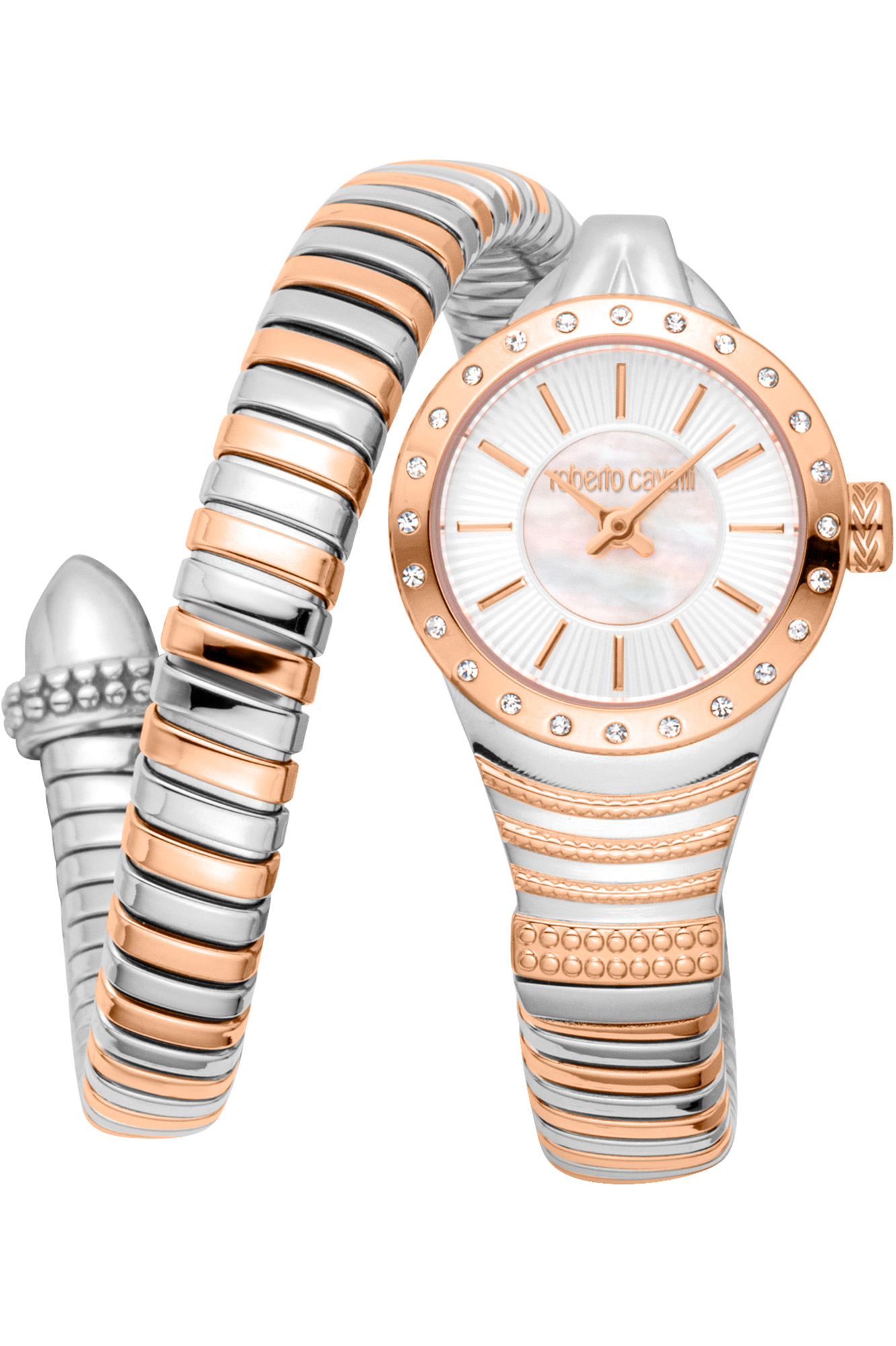 Watch Roberto Cavalli rc5l114m0085