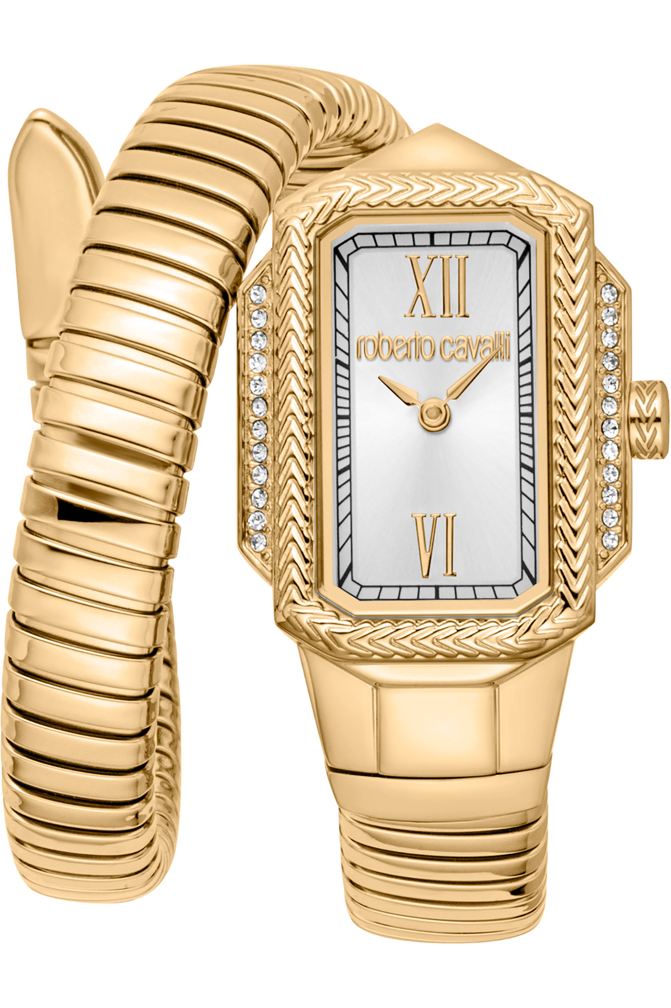 Watch Roberto Cavalli rc5l115m0035