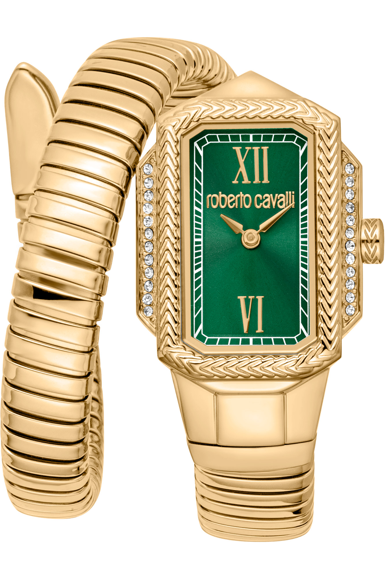 Watch Roberto Cavalli rc5l115m0045