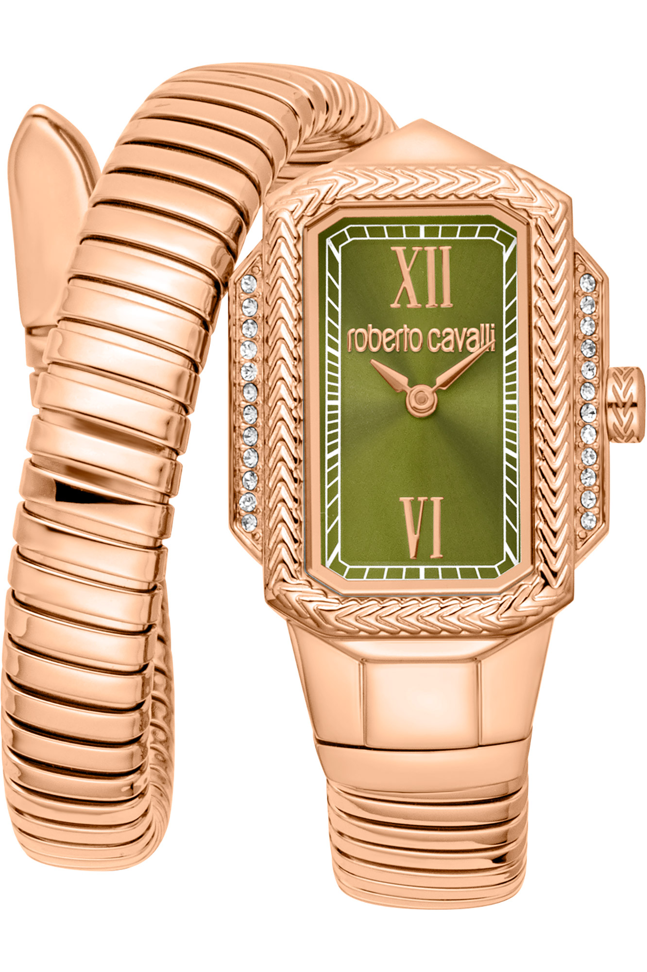 Watch Roberto Cavalli rc5l115m0055