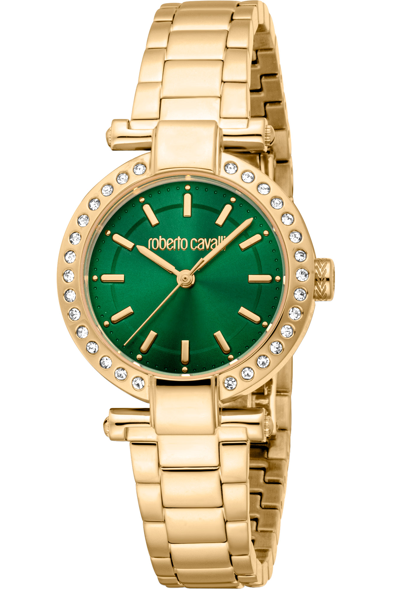 Montre Roberto Cavalli rc5l121m0065