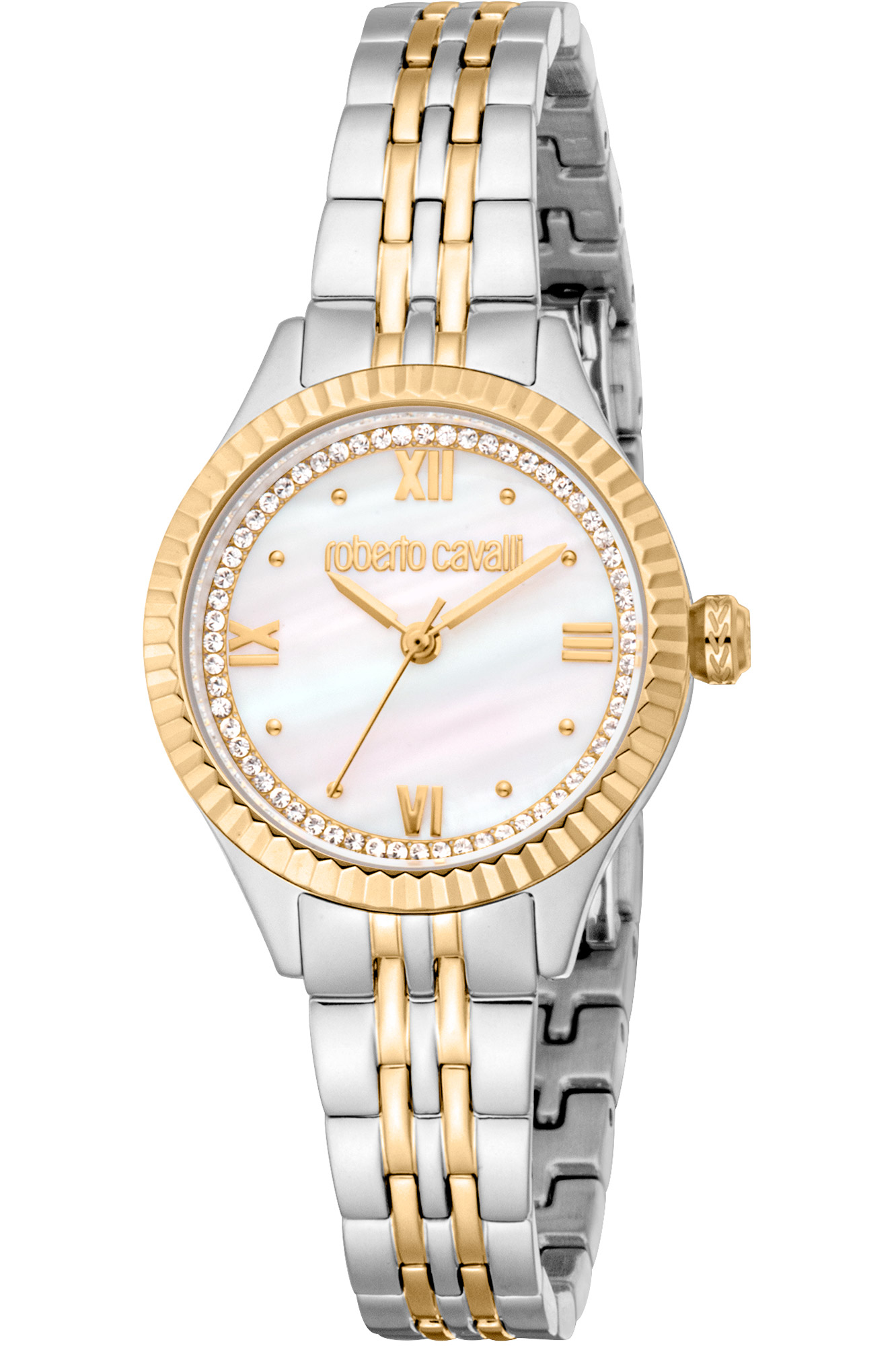 Watch Roberto Cavalli rc5l124m0085