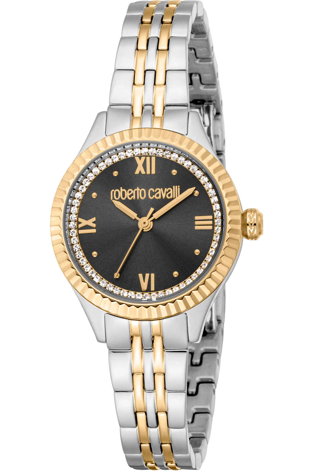 Watch Roberto Cavalli rc5l124m0095