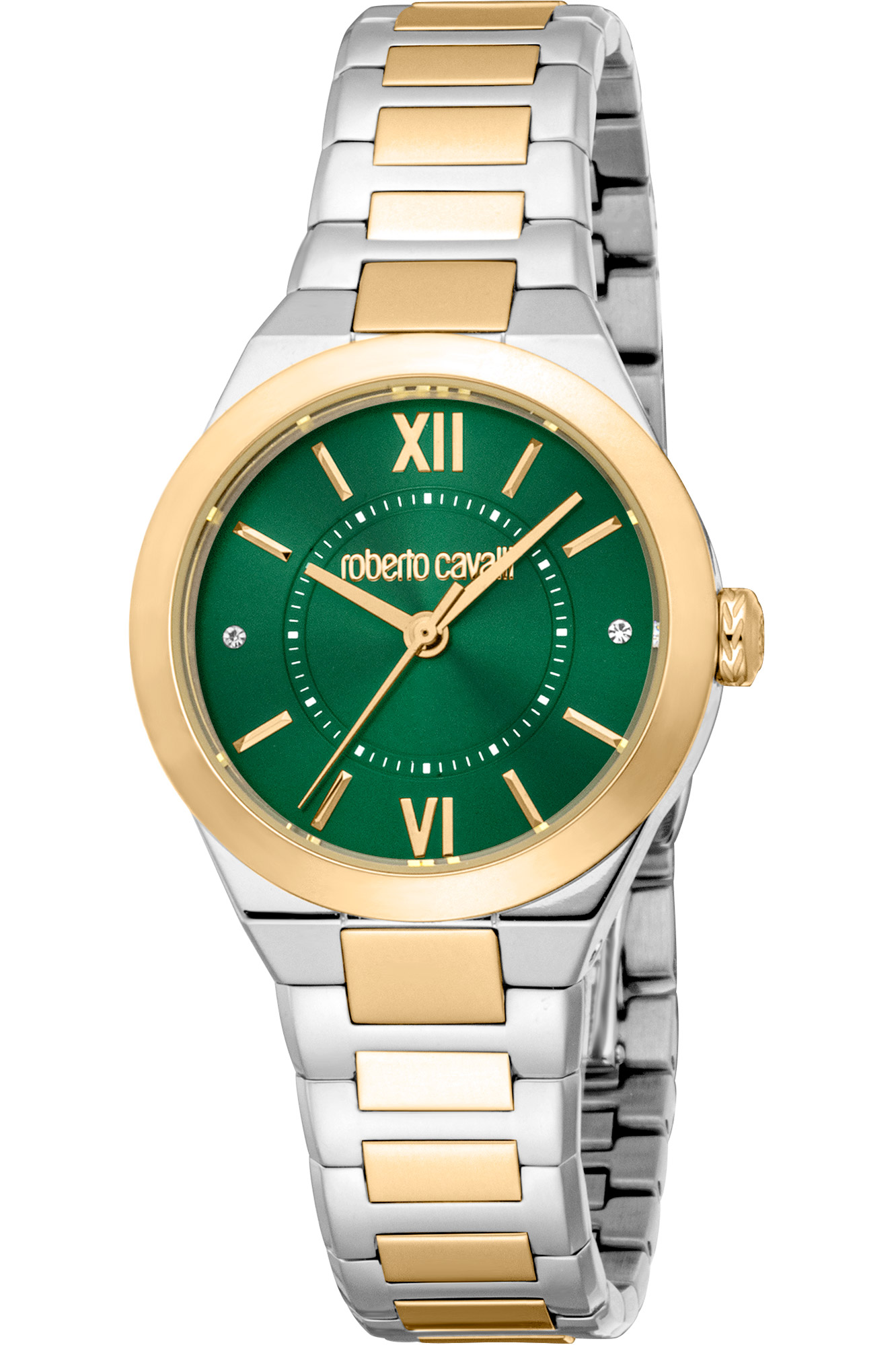 Watch Roberto Cavalli rc5l126m0065