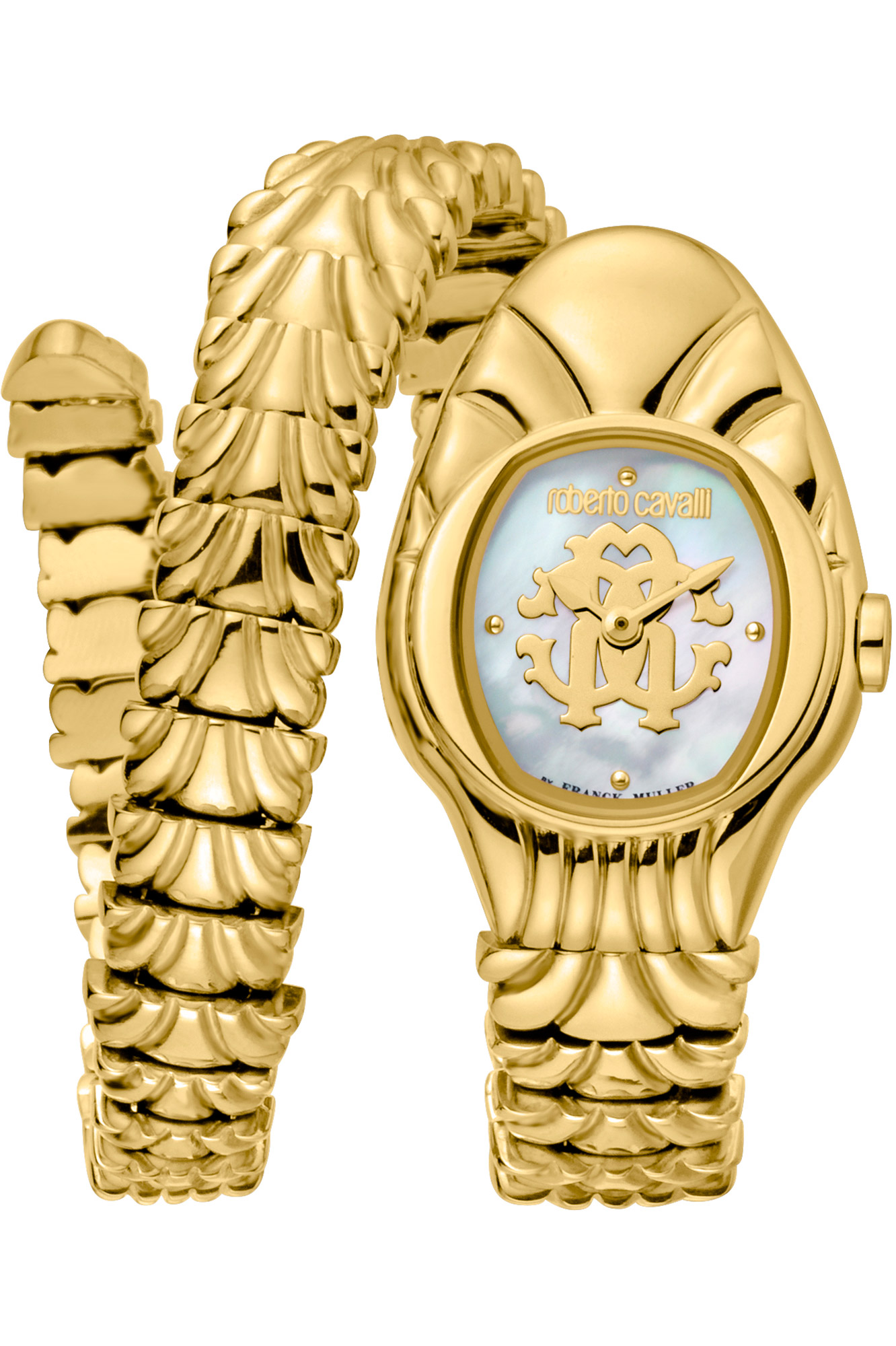 Watch Roberto Cavalli by Franck Muller rv1l115m0031