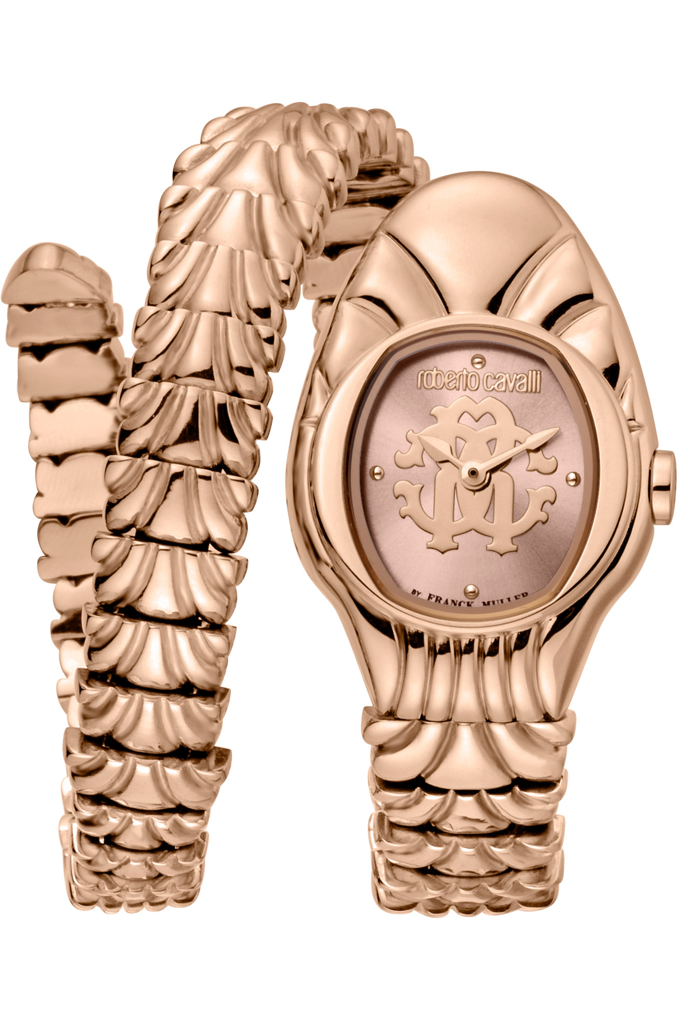 Watch Roberto Cavalli by Franck Muller rv1l115m0051