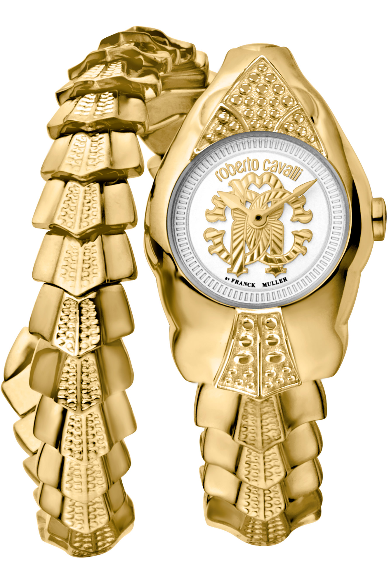 Reloj Roberto Cavalli by Franck Muller rv1l116m0031