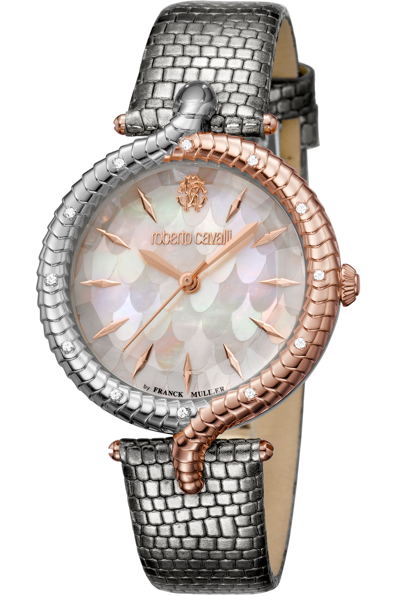 Watch Roberto Cavalli by Franck Muller rv2l012l0051