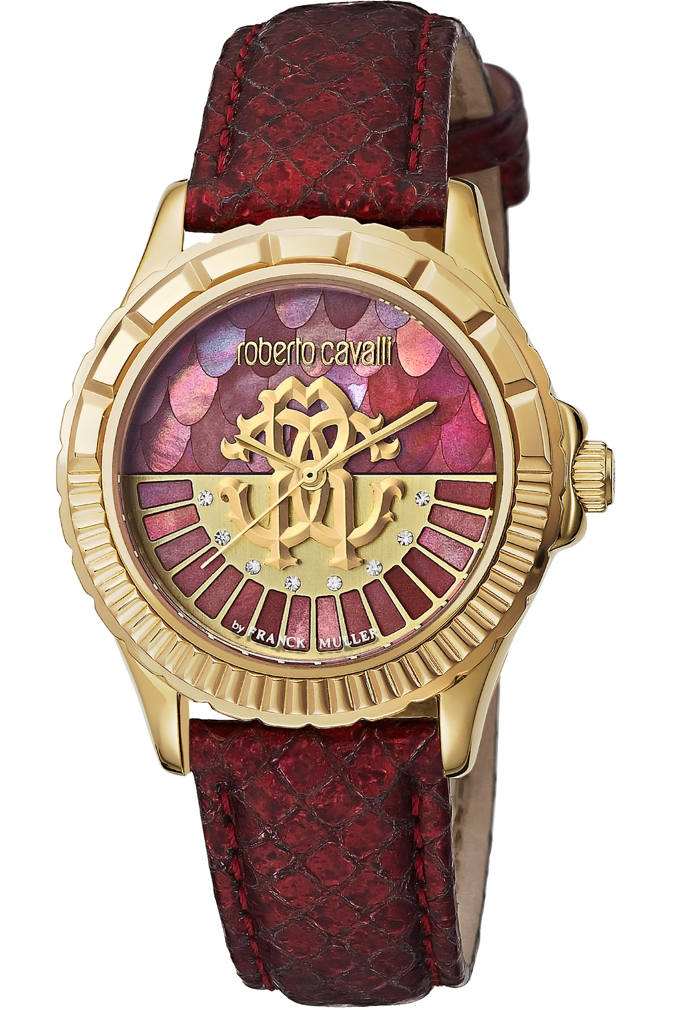 Watch Roberto Cavalli by Franck Muller rv2l014l0021