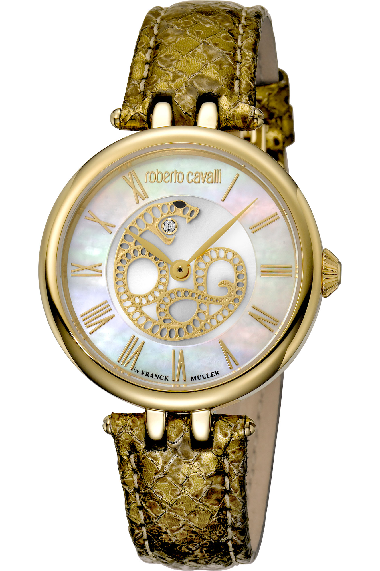 Watch Roberto Cavalli by Franck Muller rv2l015l0021