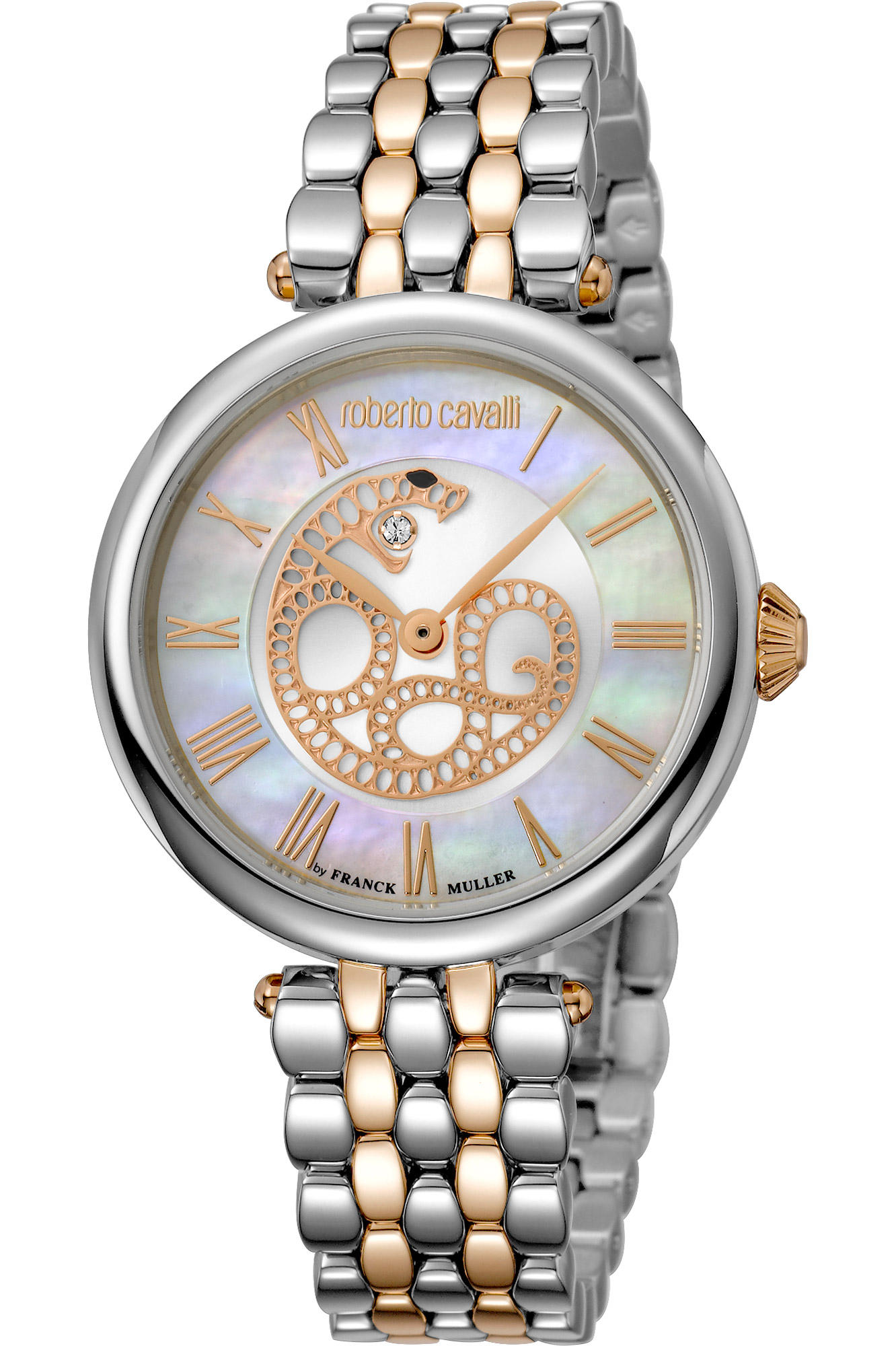 Watch Roberto Cavalli by Franck Muller rv2l015m0091