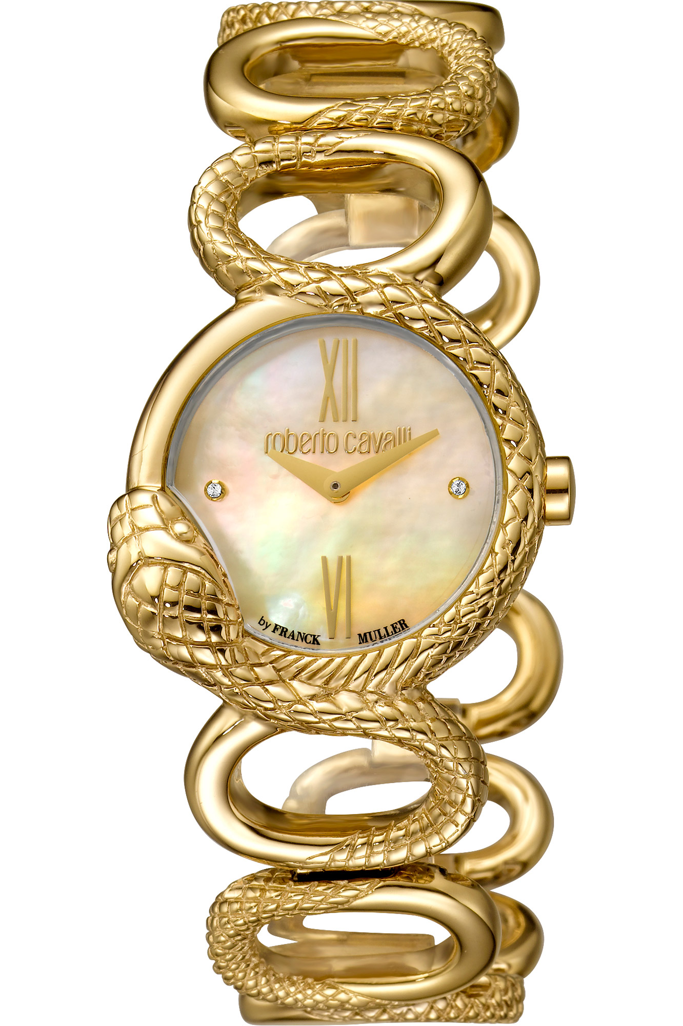 Watch Roberto Cavalli by Franck Muller rv2l016m0026