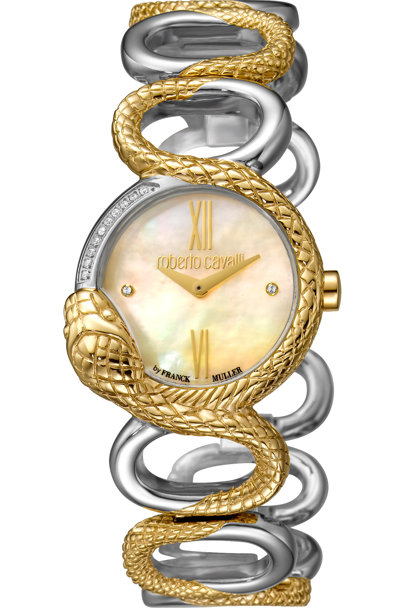 Watch Roberto Cavalli by Franck Muller rv2l018m0041