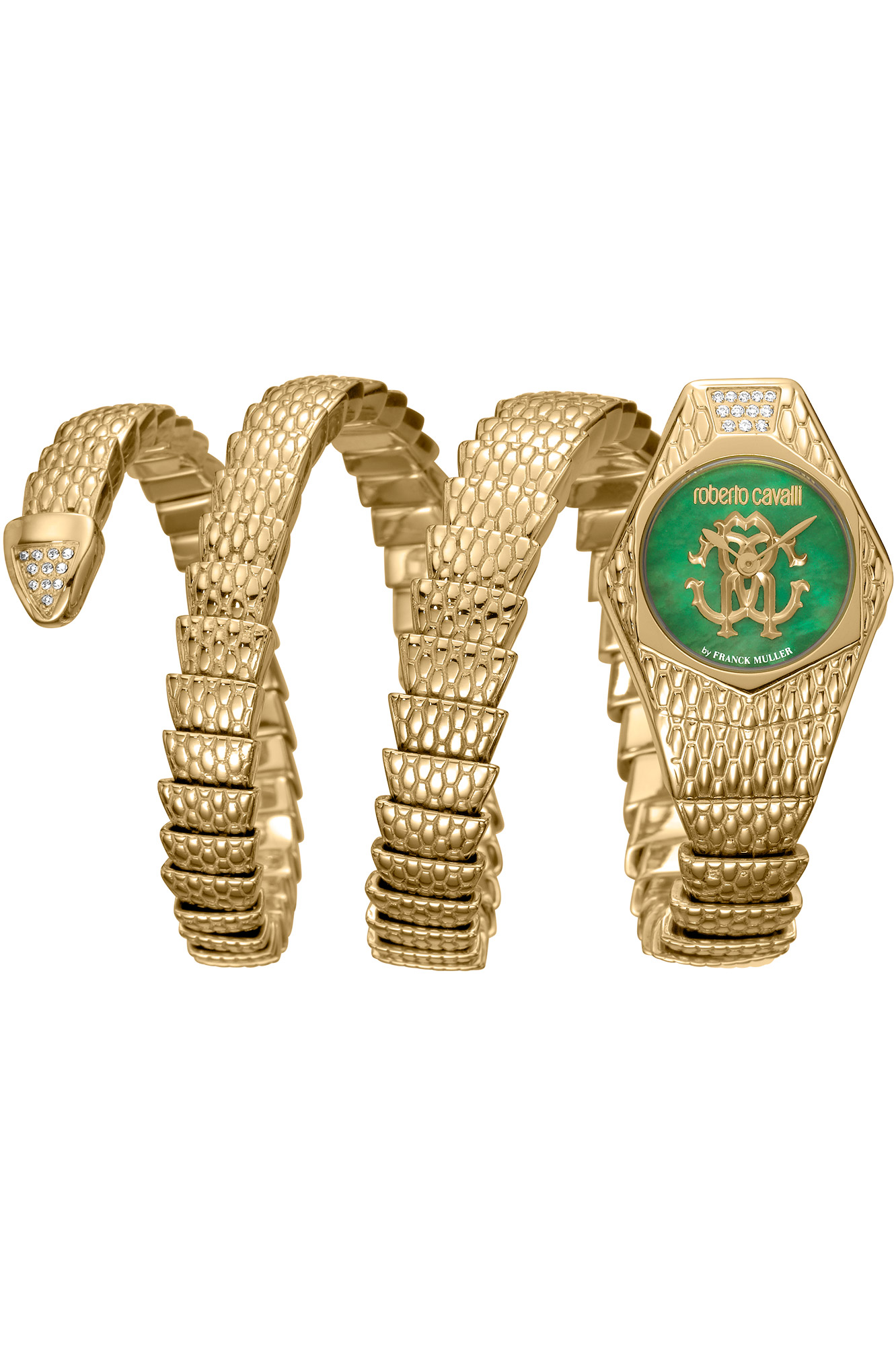 Watch Roberto Cavalli by Franck Muller rv2l021m0031